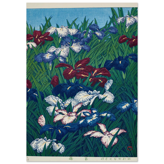 Ayame (Iris) (1929) Art Print | Kawase Hasui-Quipham Collections