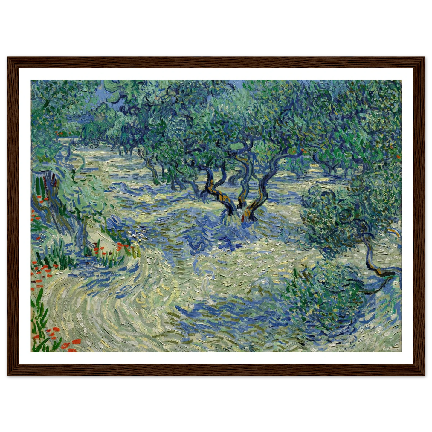Olive Orchard Art Print | Vincent van Gogh-Quipham Collections