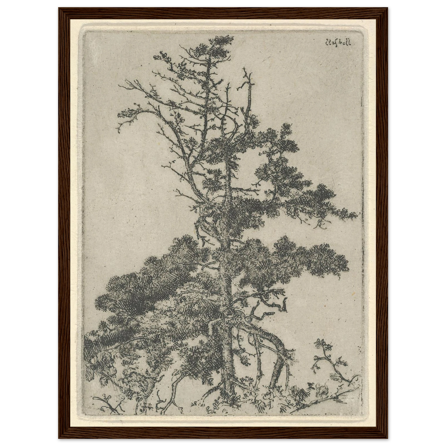 Tree Top (1900-1925) Art Print | Ernest Haskell-Quipham Collections