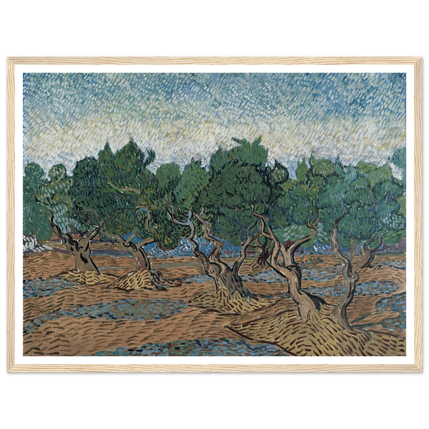 Olive grove Art Print | Vincent van Gogh-Quipham Collections
