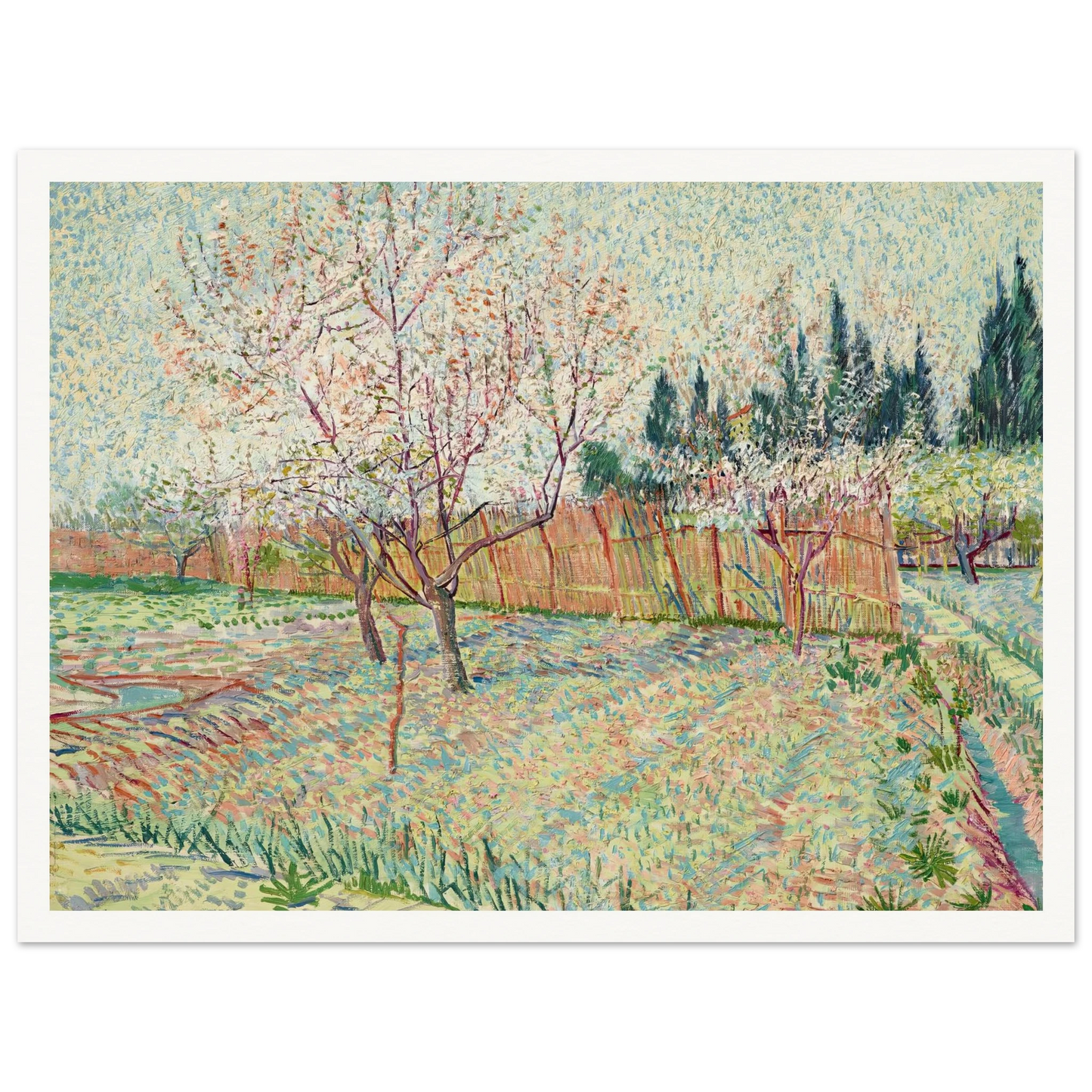 Verger avec cyprès (1888) Art Print | Vincent van Gogh-Quipham Collections