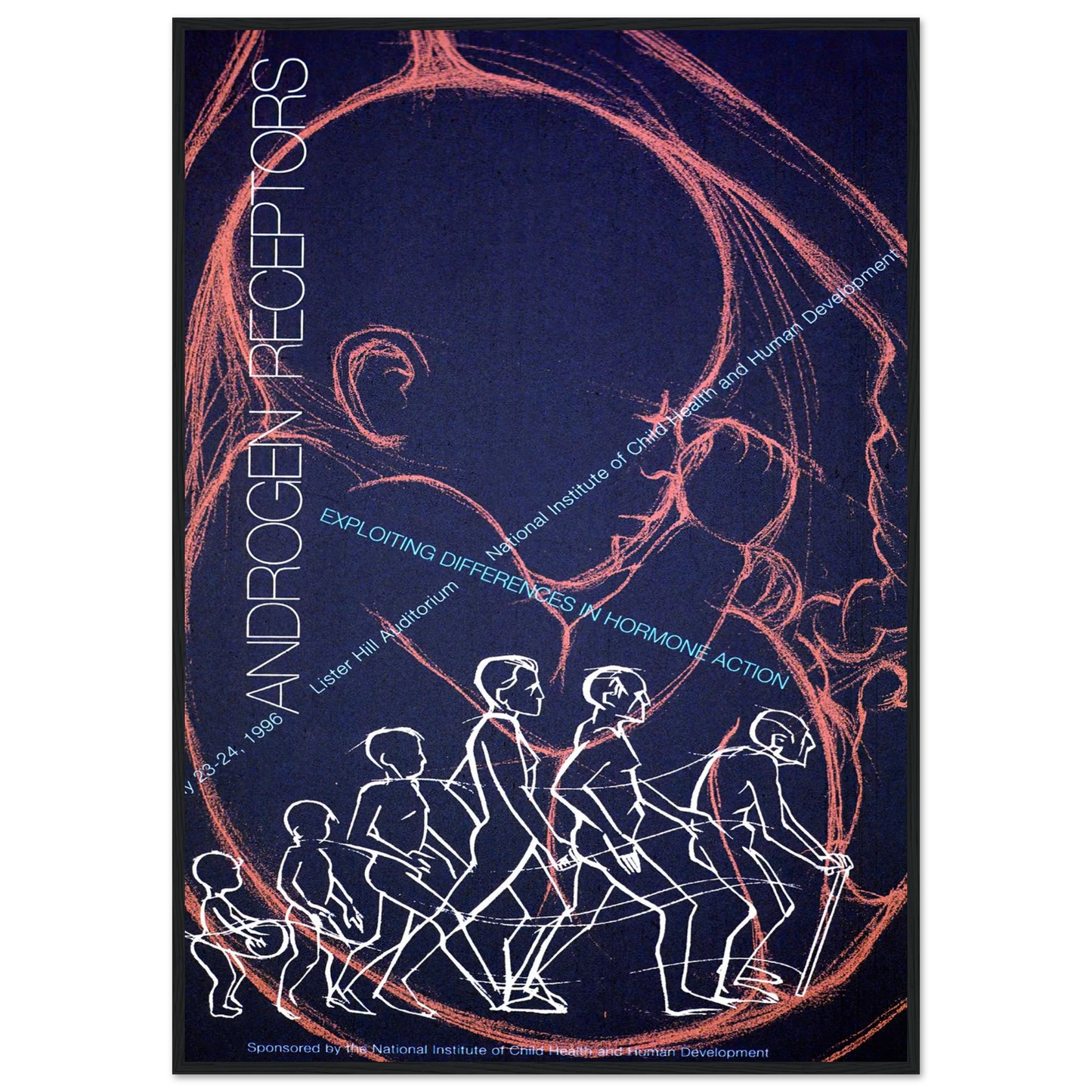 Androgen receptors; exploiting differences in hormone action (1996) Art Print | National Institutes of Health-Quipham Collections