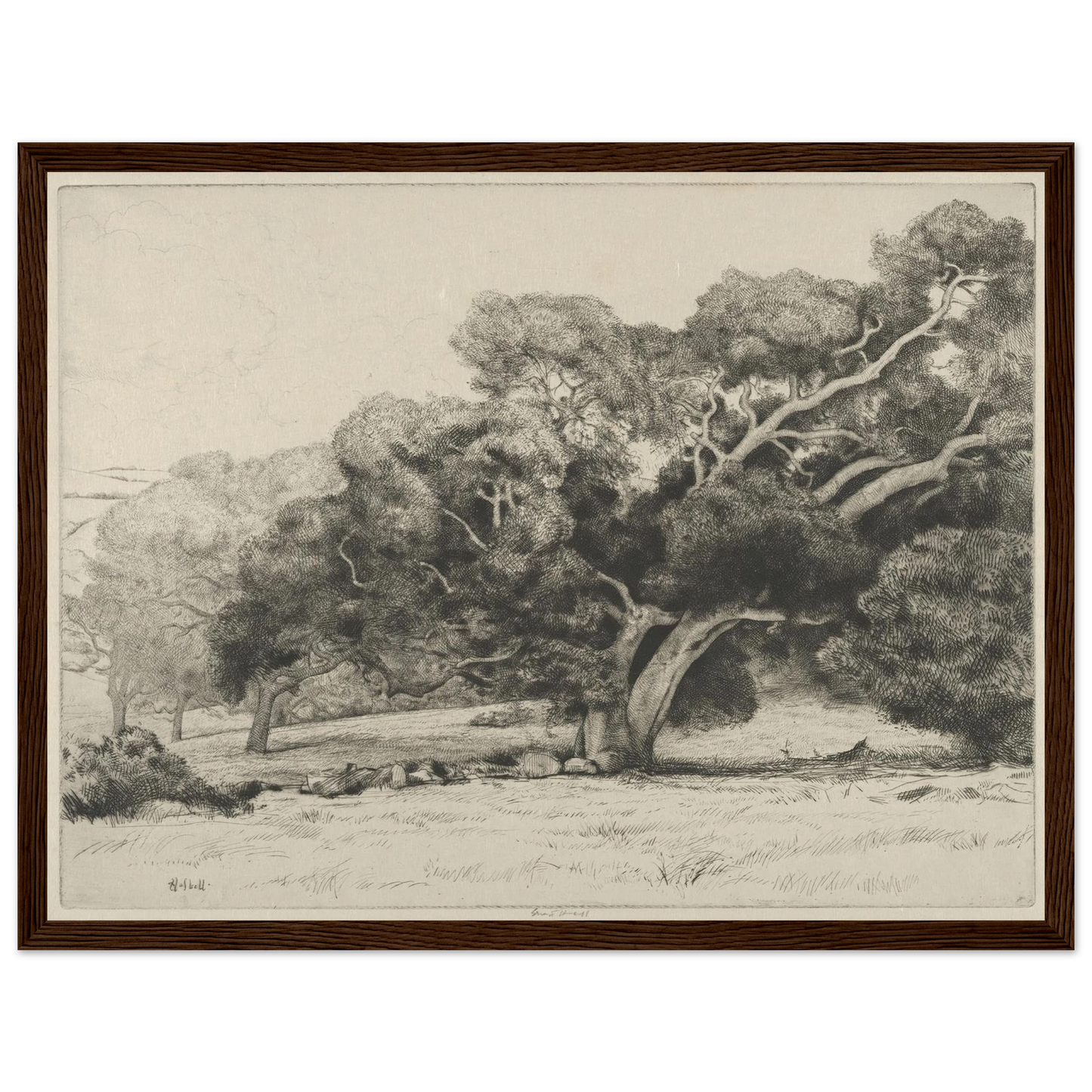 Large Live Oak (1915-1925) Art Print | Ernest Haskell-Quipham Collections