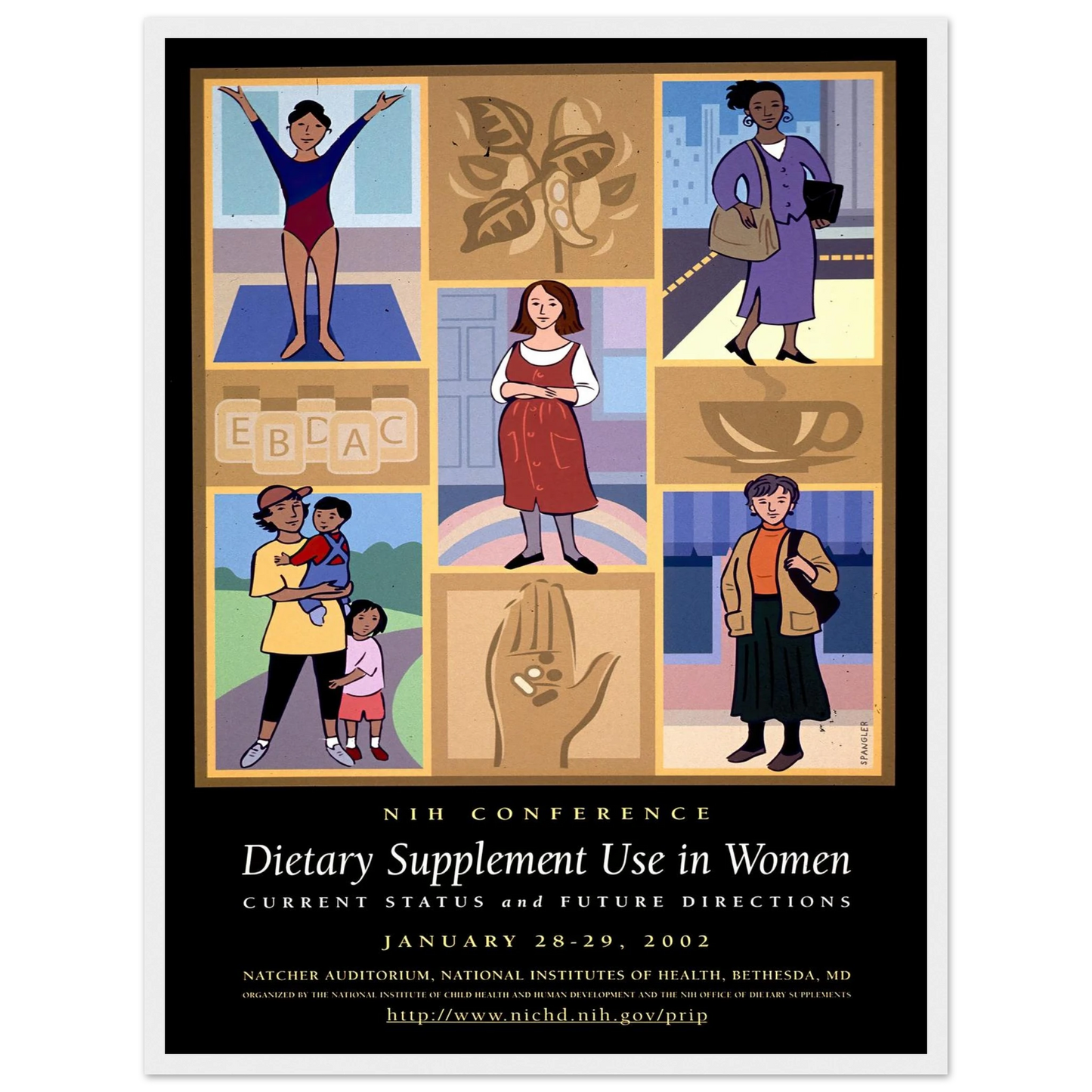 Dietary supplement use in women; current status and future directions (2002) Art Print | National Institutes of Health-Quipham Collections