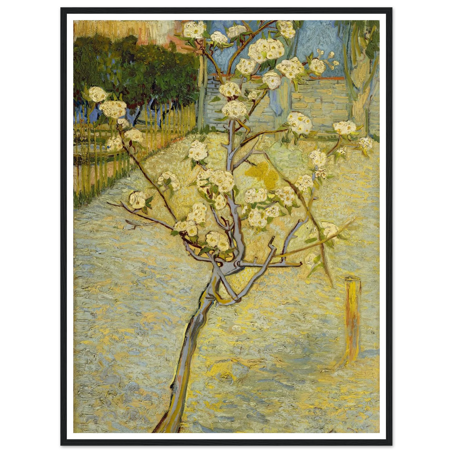 Small pear tree in blossom (1888) Art Print | Vincent van Gogh-Quipham Collections