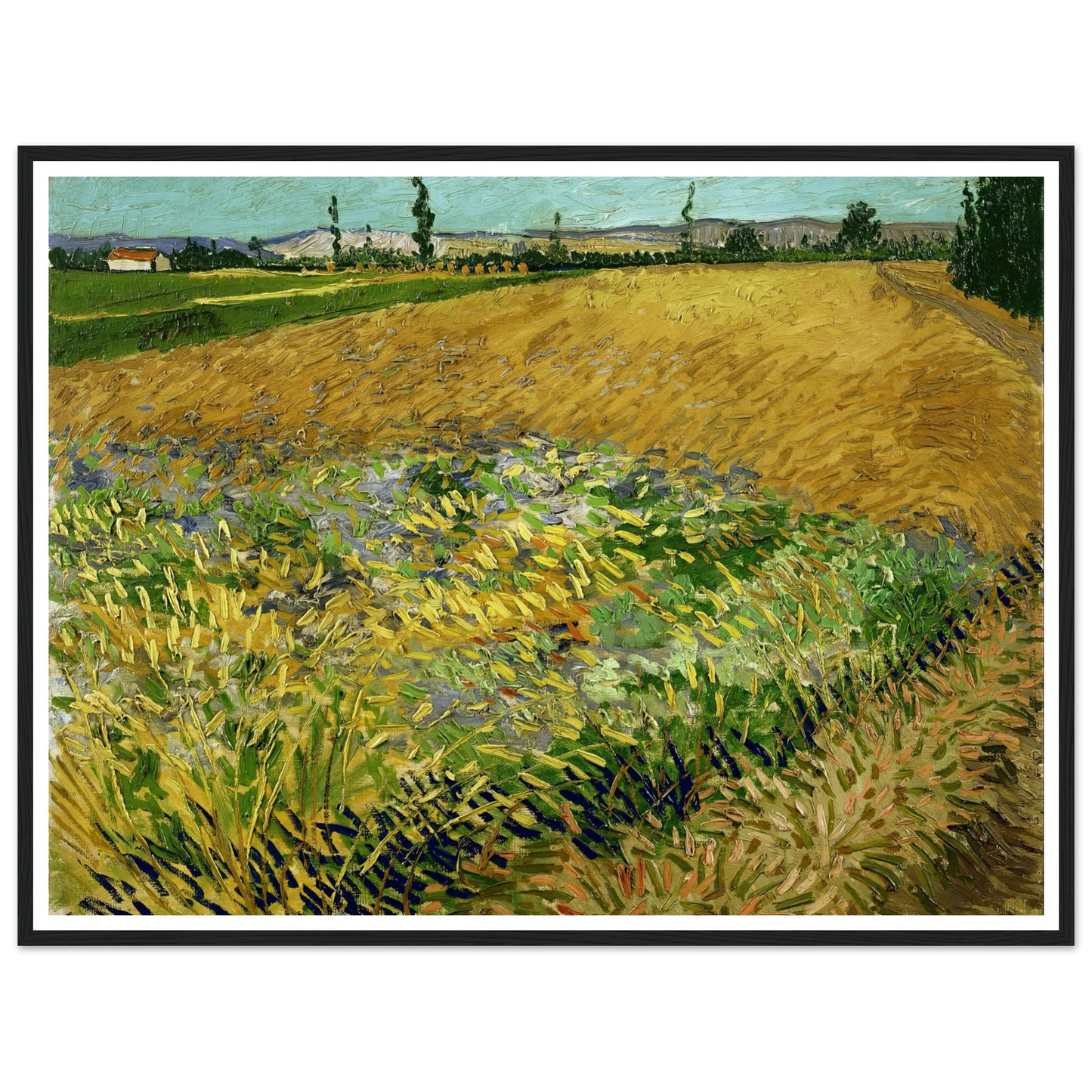 Wheatfield (1888) Art Print | Vincent van Gogh-Quipham Collections