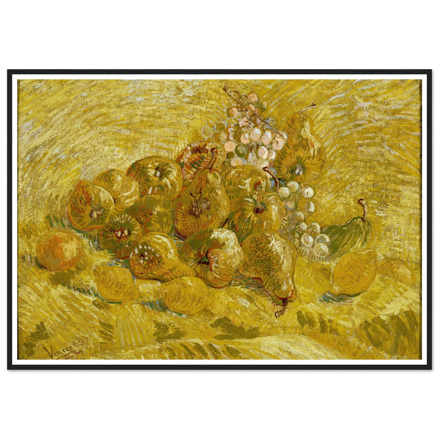 Quinces, lemons, pears and grapes (from 1887 until 1888) Art Print | Vincent van Gogh-Quipham Collections