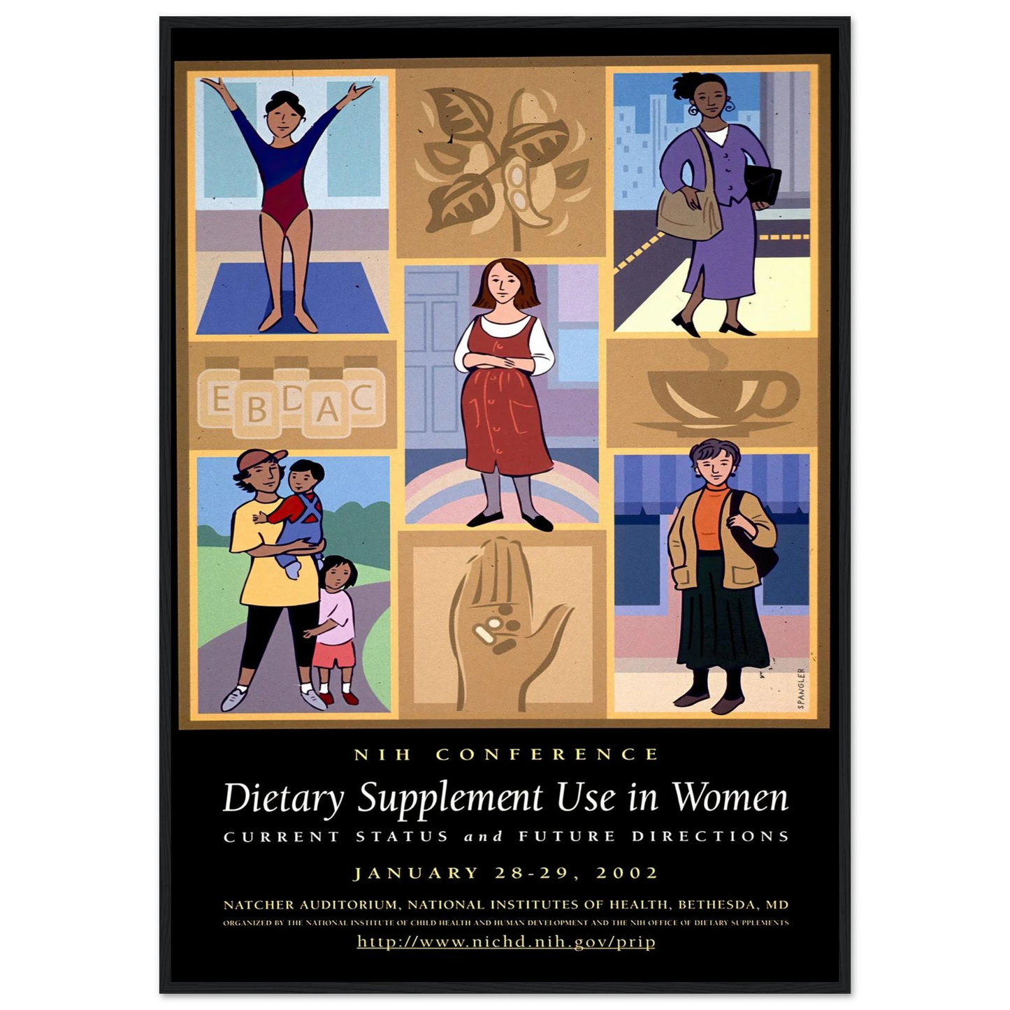 Dietary supplement use in women; current status and future directions (2002) Art Print | National Institutes of Health-Quipham Collections