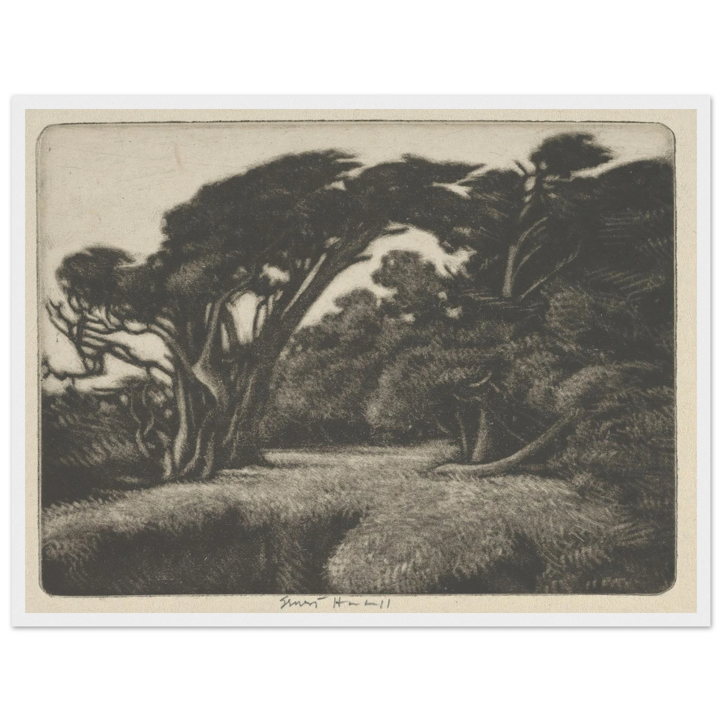Cypress Bower (1920) Art Print | Ernest Haskell-Quipham Collections