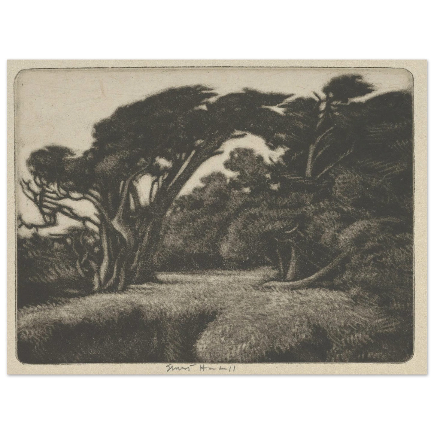Cypress Bower (1920) Art Print | Ernest Haskell-Quipham Collections