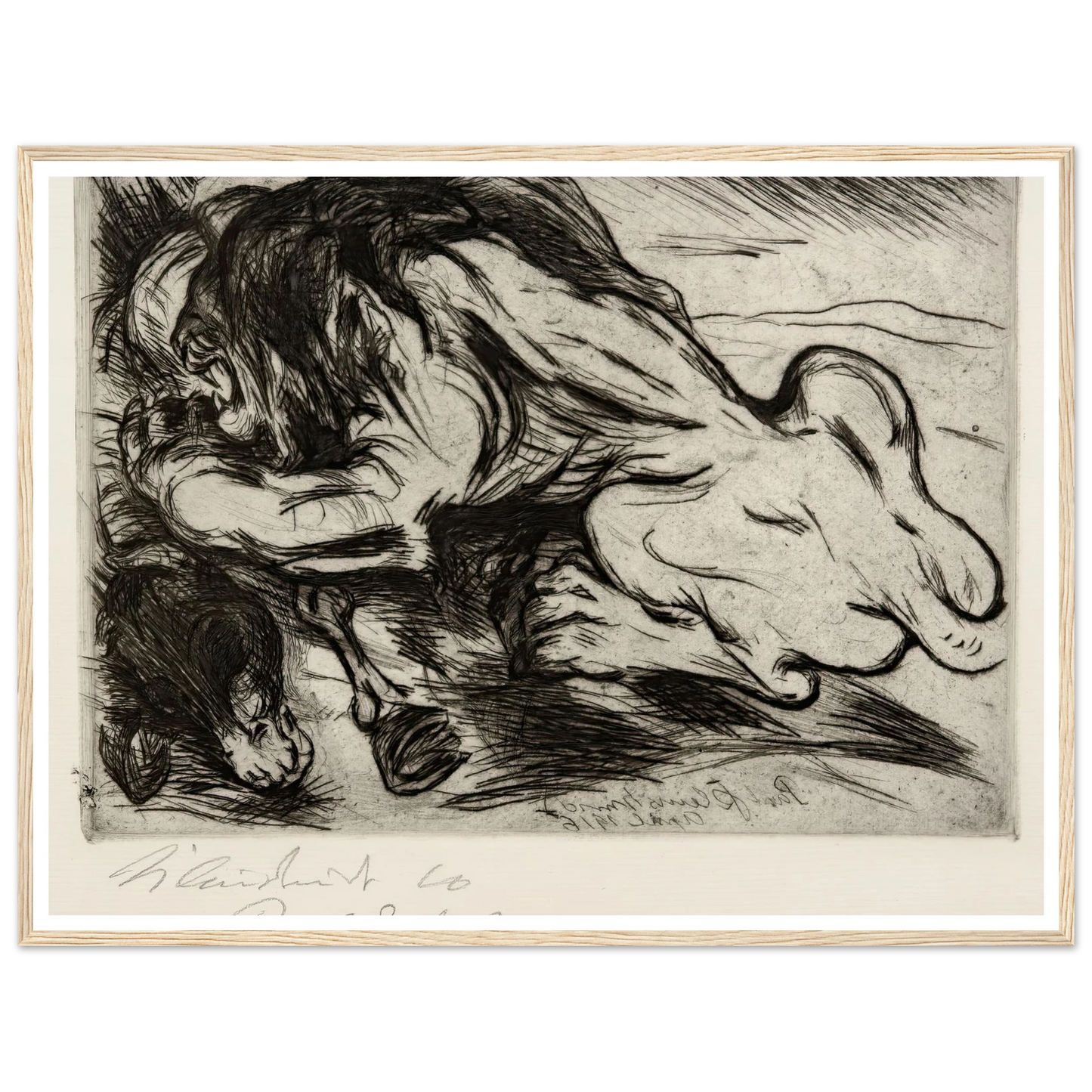 Ein Löwe reißt ein Zebu (1916) Art Print | Paul Kleinschmidt-Quipham Collections