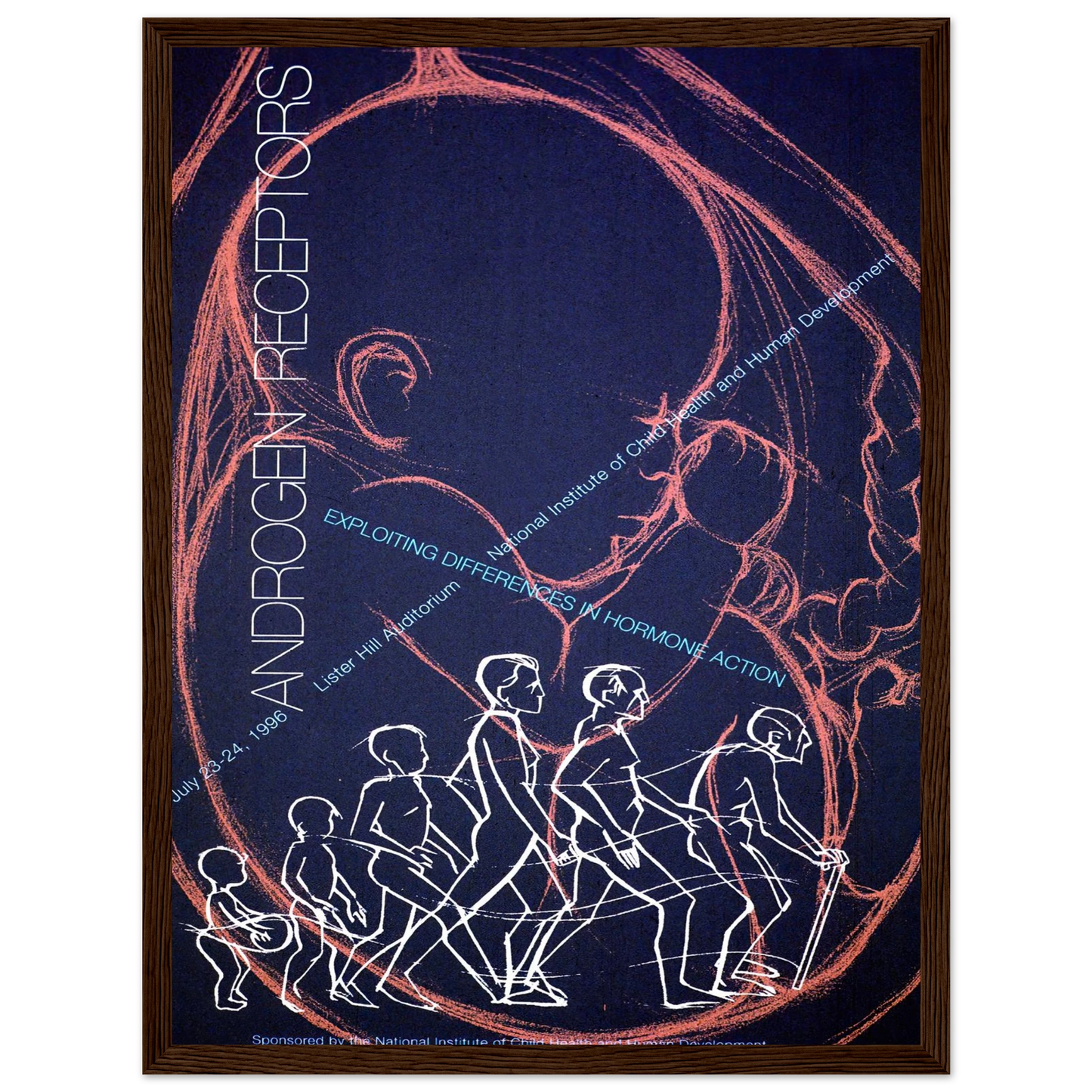 Androgen receptors; exploiting differences in hormone action (1996) Art Print | National Institutes of Health-Quipham Collections