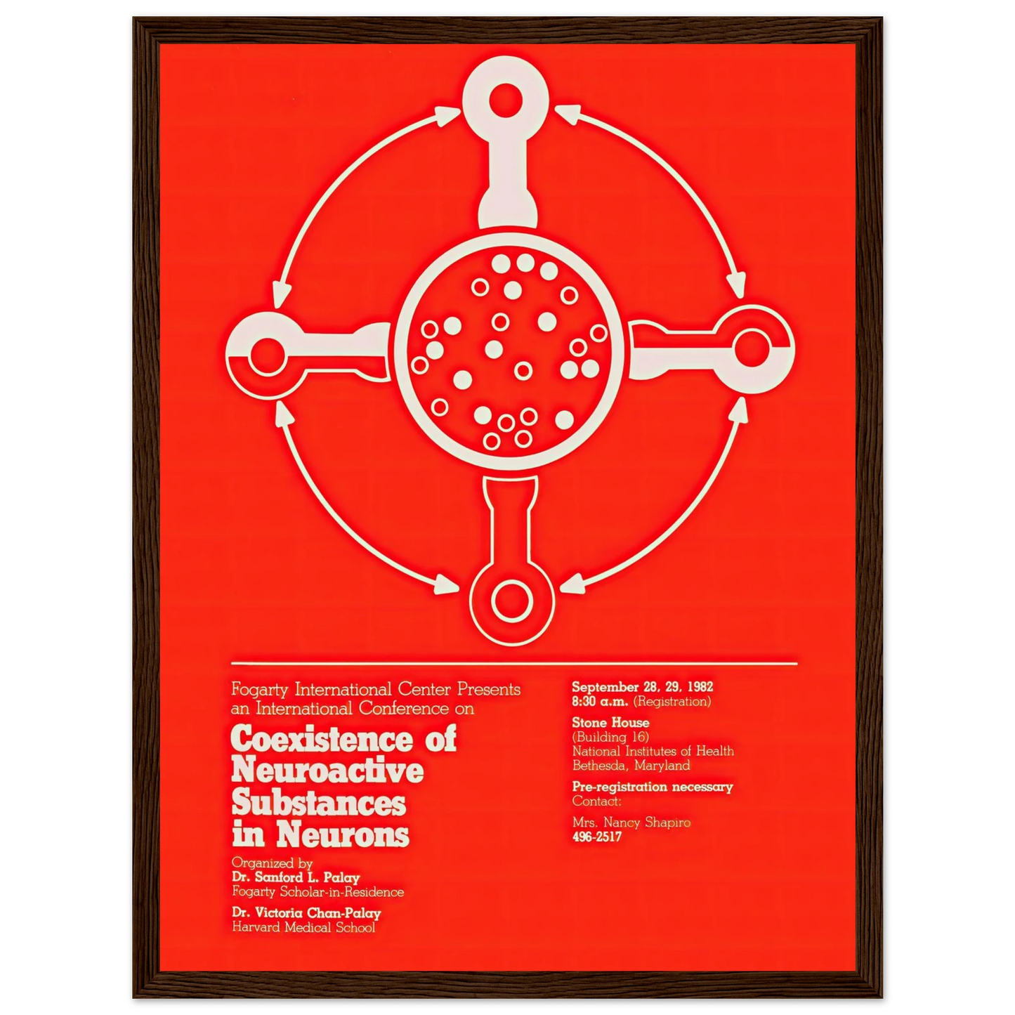 Coexistence of neuroactive substances in neurons (1982) Art Print | National Institutes of Health-Quipham Collections