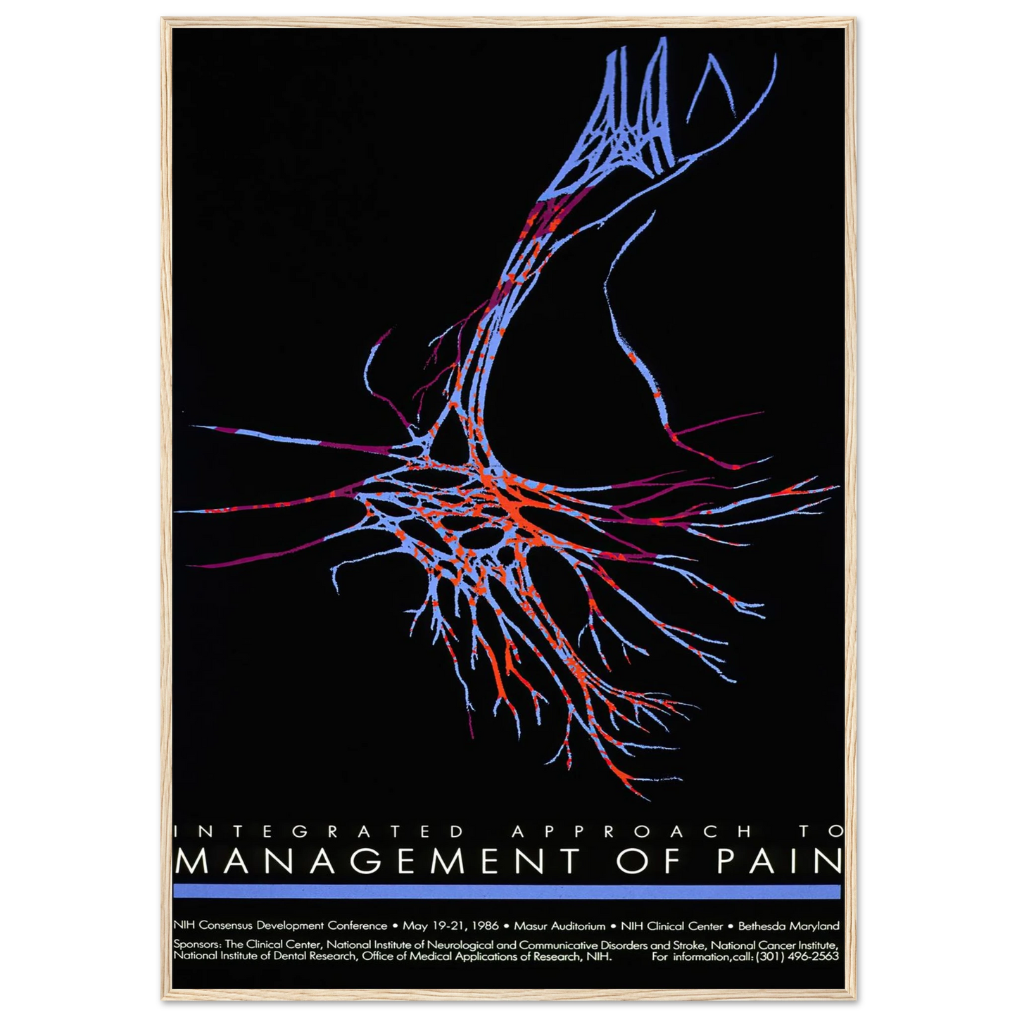 Integrated approach to management of pain (1986) Art Print | National Institutes of Health-Quipham Collections