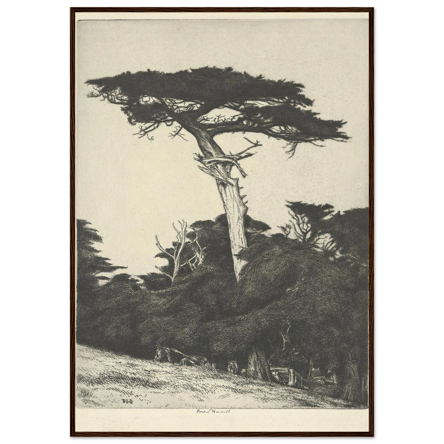 Dryad’s Parasol (1916-1922) Art Print | Ernest Haskell-Quipham Collections