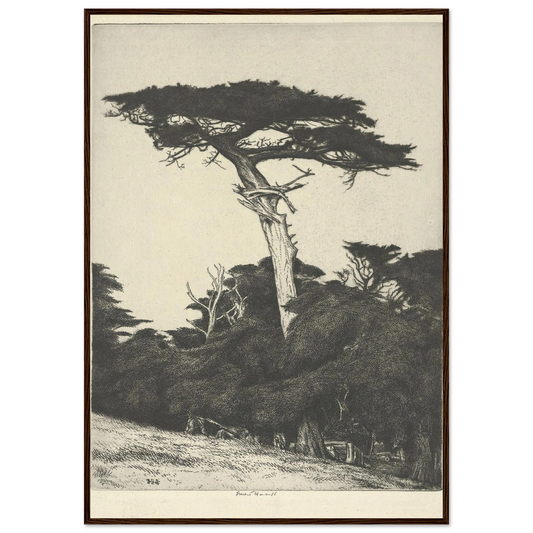 Dryad’s Parasol (1916-1922) Art Print | Ernest Haskell-Quipham Collections