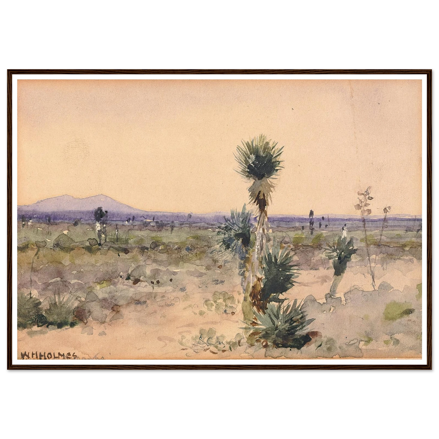 Yuccaland–Chihuahua, Mexico Art Print | William Henry Holmes-Quipham Collections