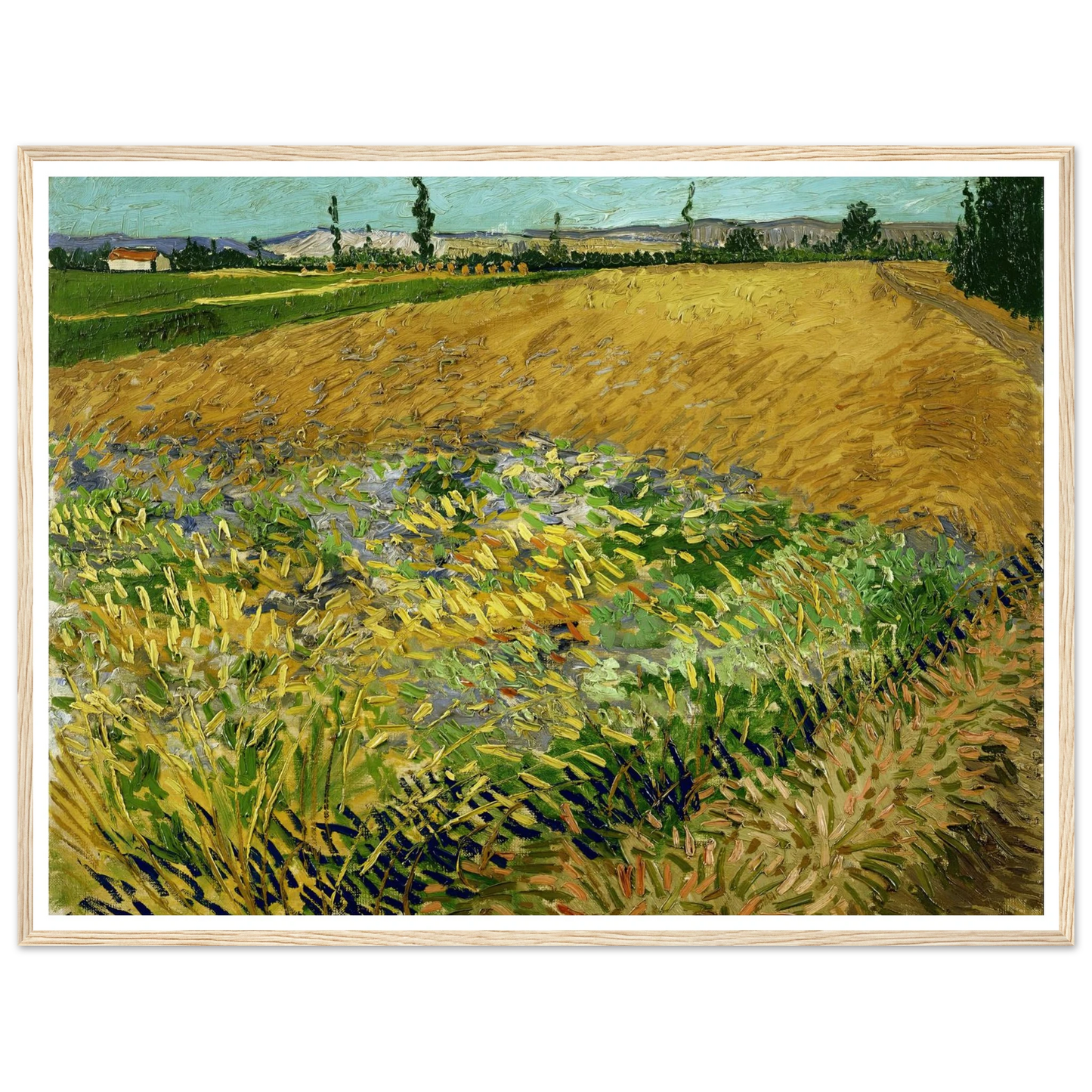 Wheatfield (1888) Art Print | Vincent van Gogh-Quipham Collections