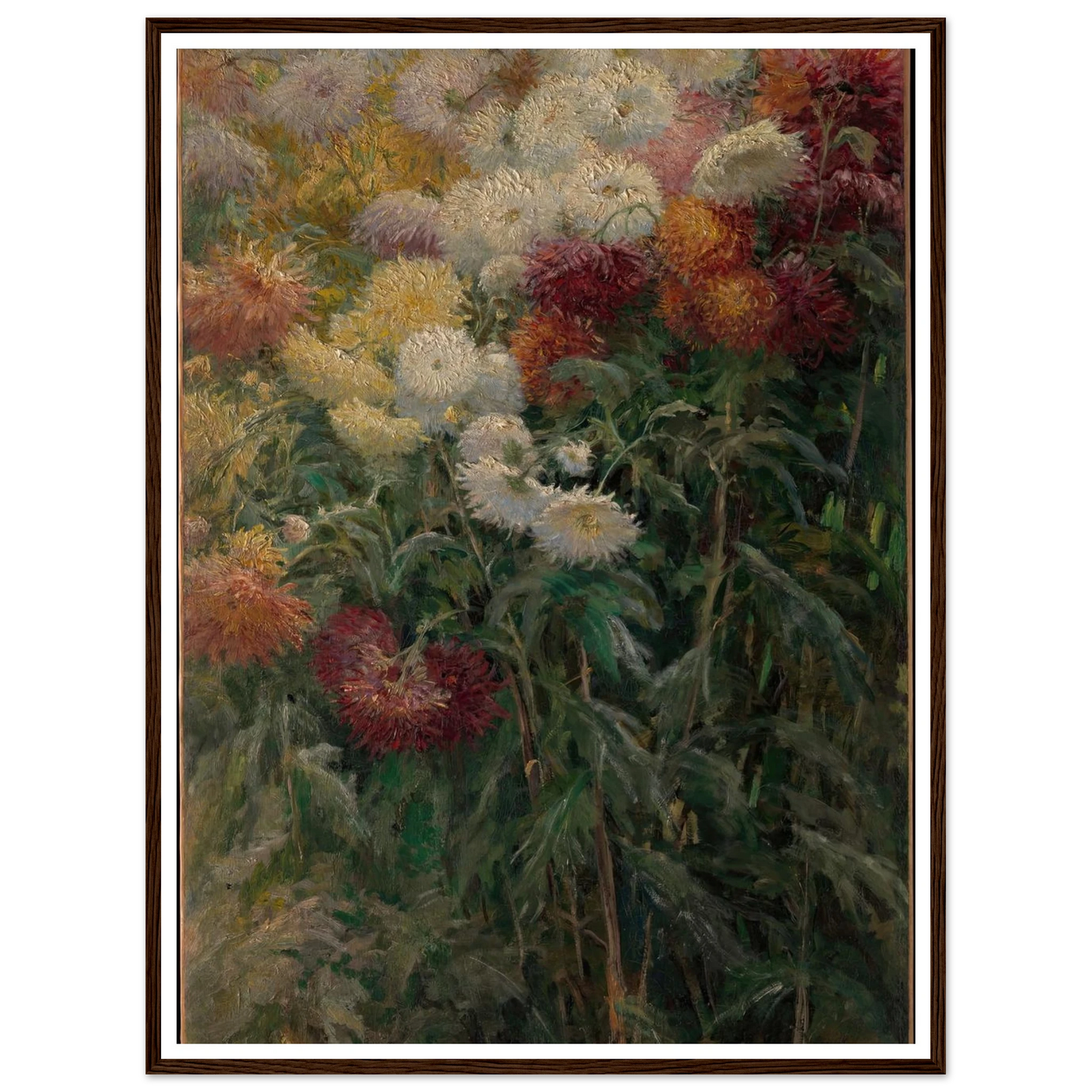 Chrysanthemums in the Garden at Petit-Gennevilliers (1893) Art Print | Gustave Caillebotte-Quipham Collections