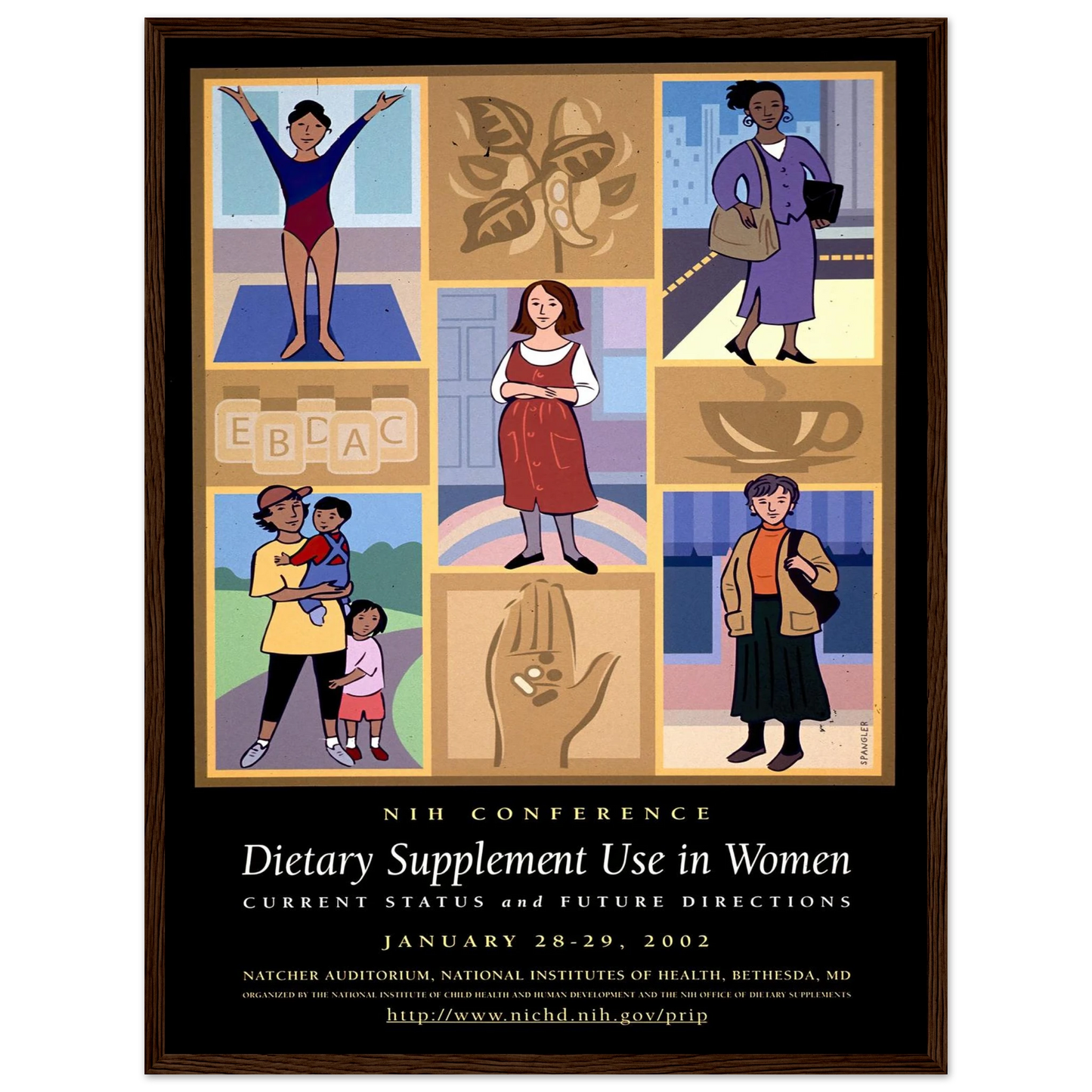 Dietary supplement use in women; current status and future directions (2002) Art Print | National Institutes of Health-Quipham Collections