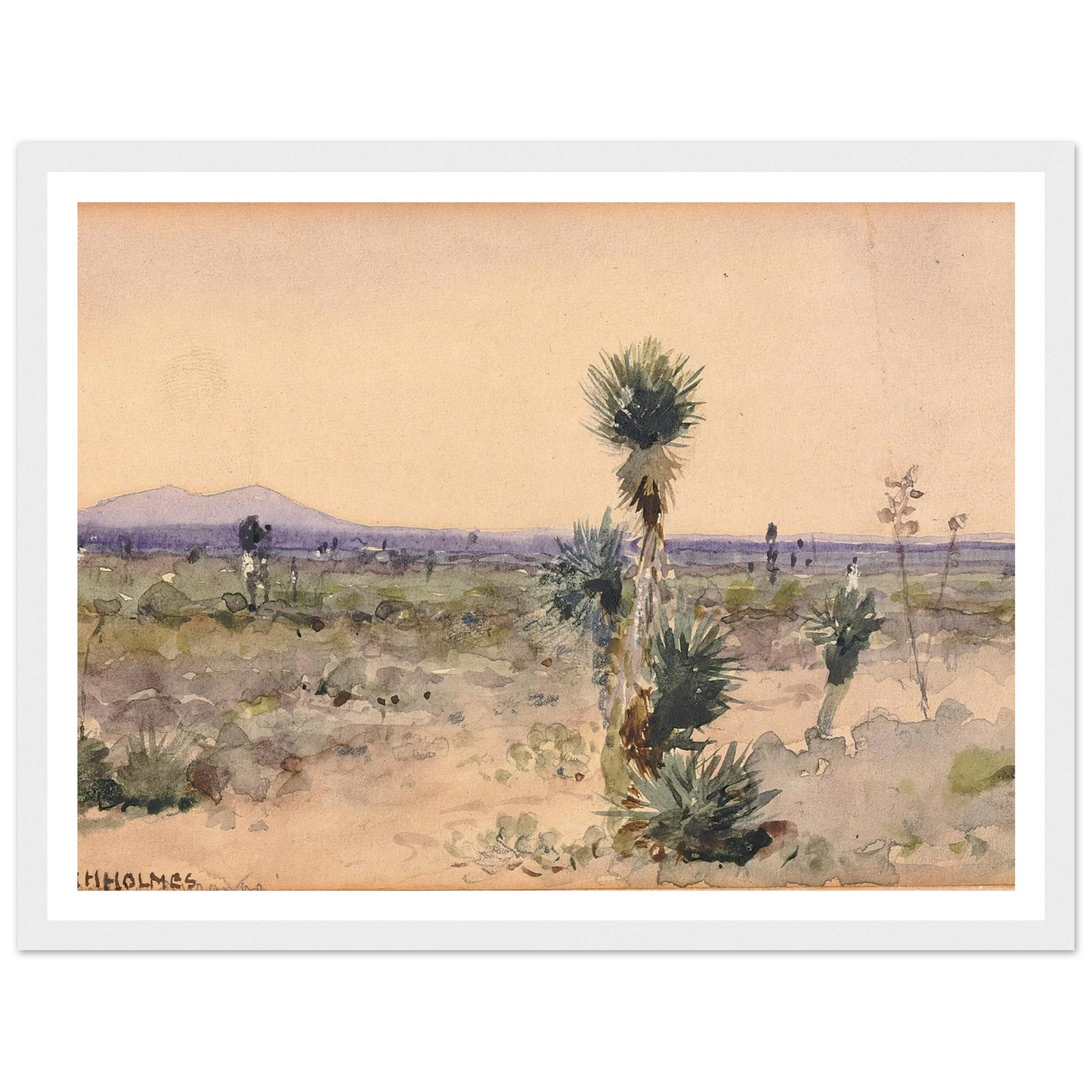 Yuccaland–Chihuahua, Mexico Art Print | William Henry Holmes-Quipham Collections