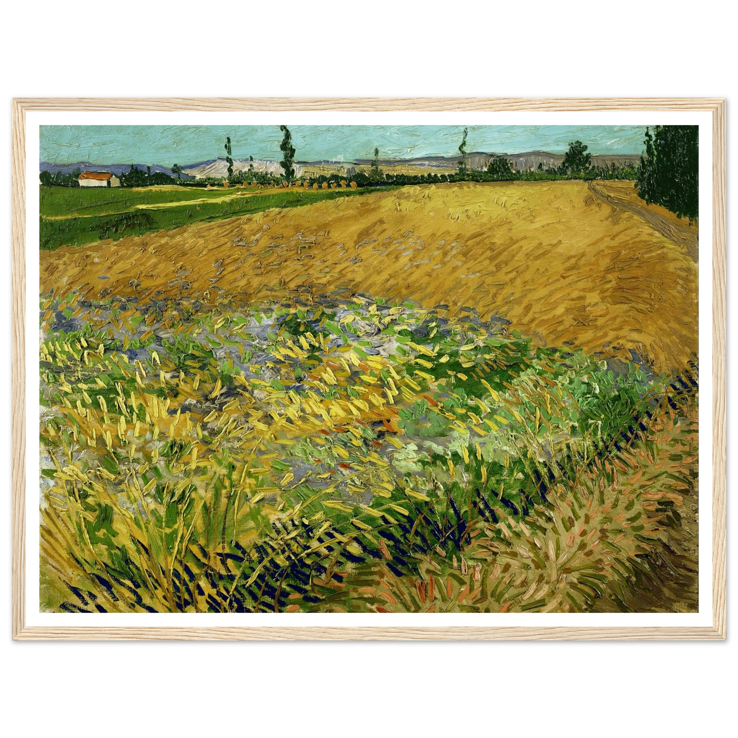 Wheatfield (1888) Art Print | Vincent van Gogh-Quipham Collections