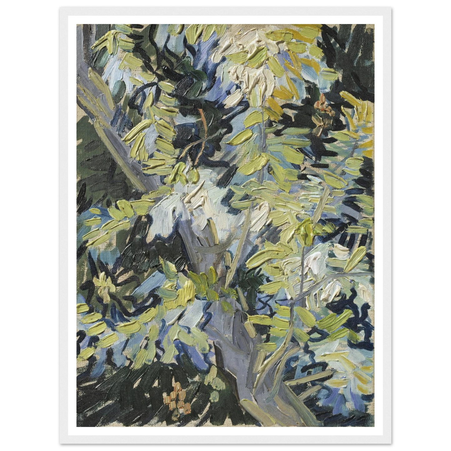 Acacia in Flowers Art Print | Vincent van Gogh-Quipham Collections