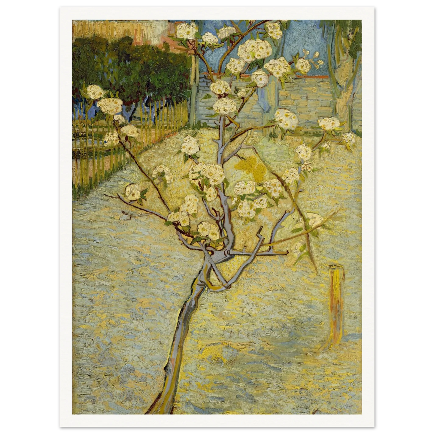 Small pear tree in blossom (1888) Art Print | Vincent van Gogh-Quipham Collections