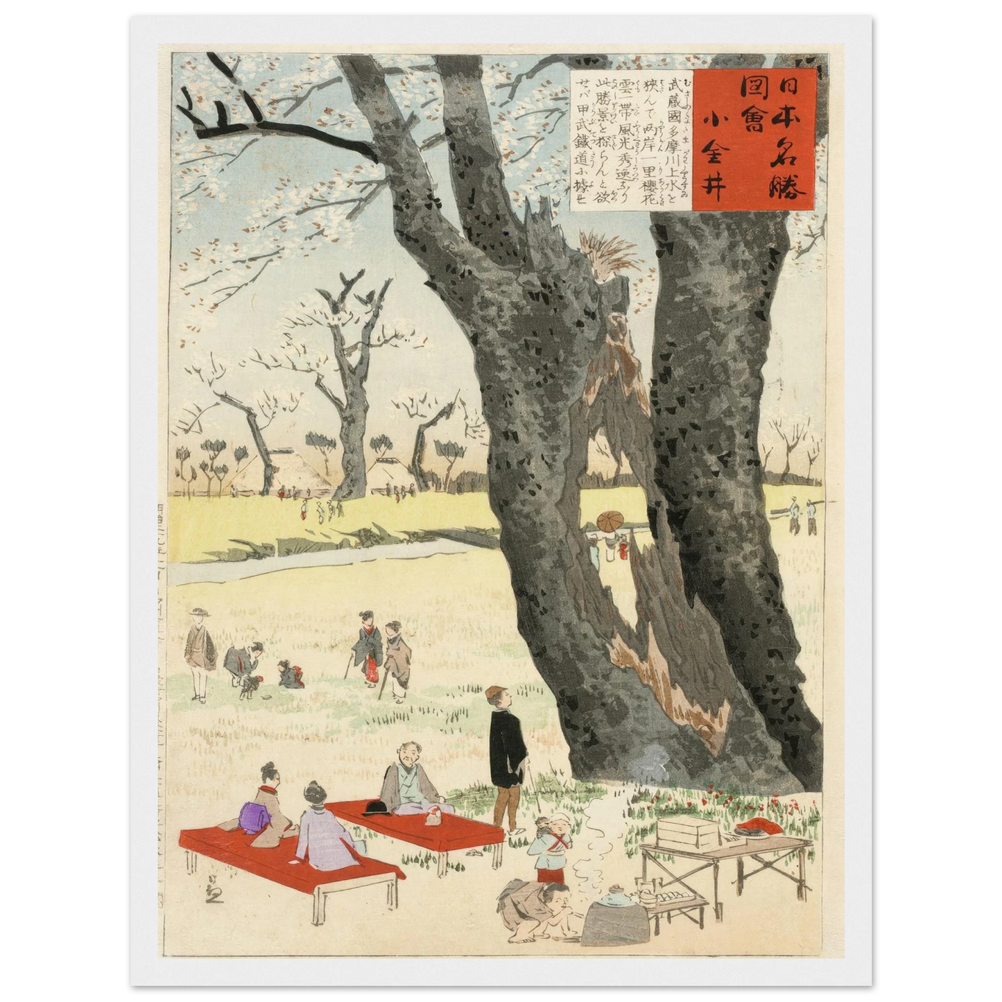 Koganei, Cherry Blossoms (1896) Art Print | Kobayashi Kiyochika-Quipham Collections