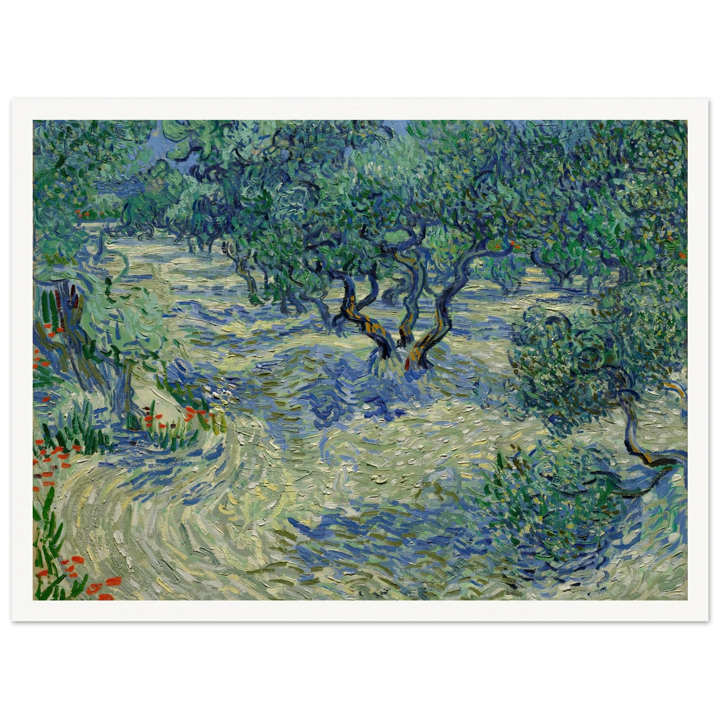 Olive Orchard Art Print | Vincent van Gogh-Quipham Collections