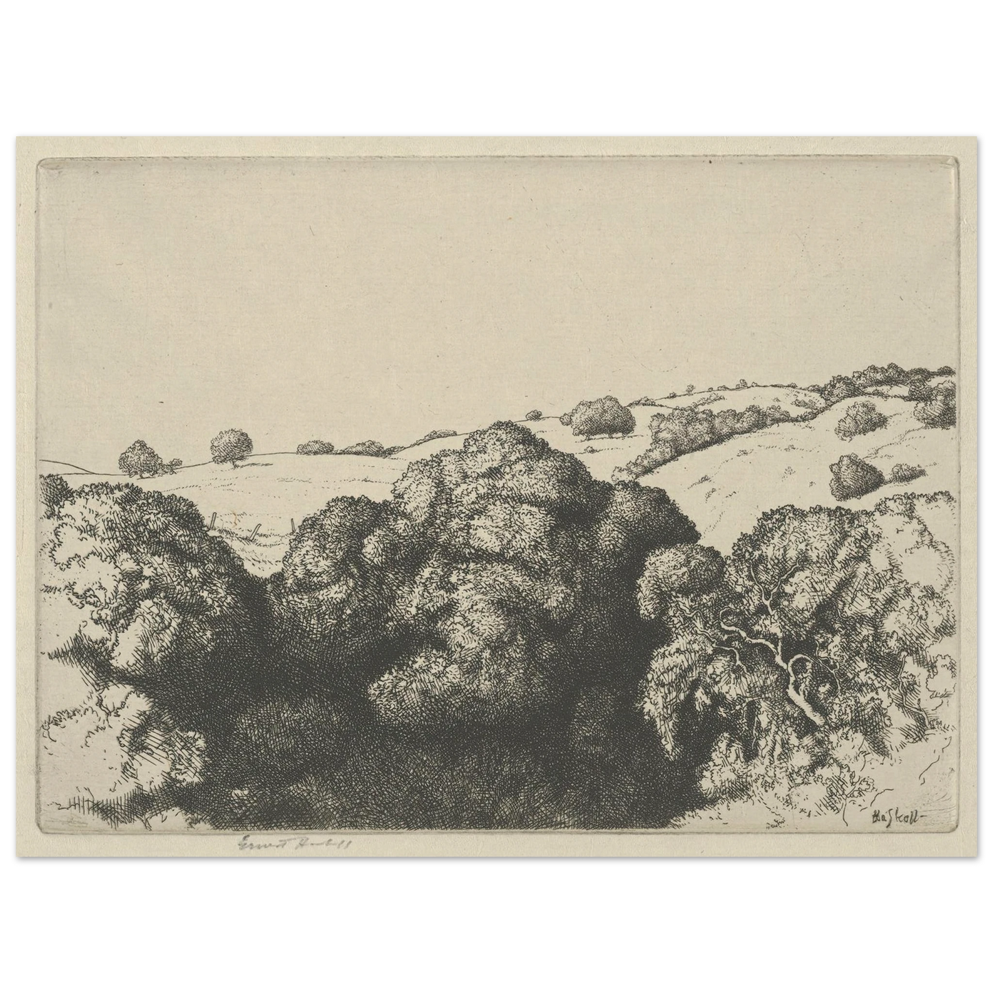 Live Oak Shadows (1900-1925) Art Print | Ernest Haskell-Quipham Collections