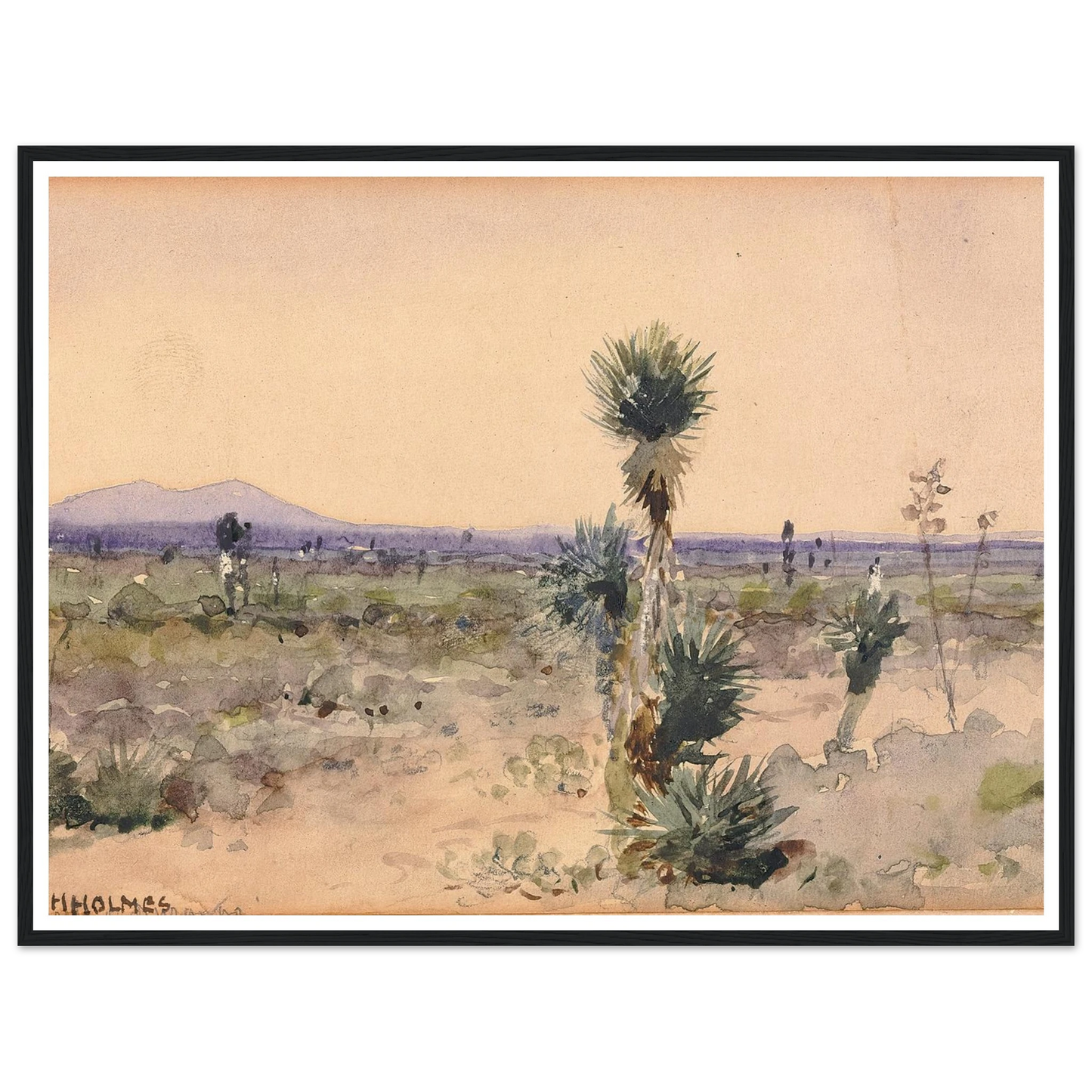 Yuccaland–Chihuahua, Mexico Art Print | William Henry Holmes-Quipham Collections