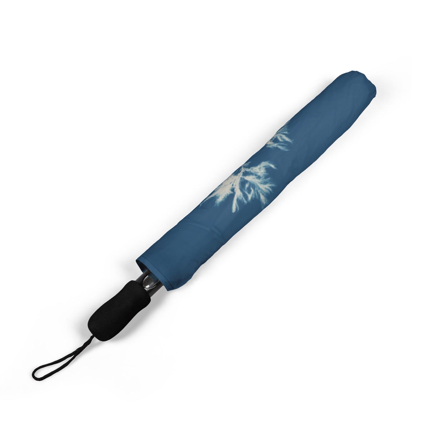 Ectocarpus sphaerophorus Umbrella | Anna Atkins-Quipham Collections