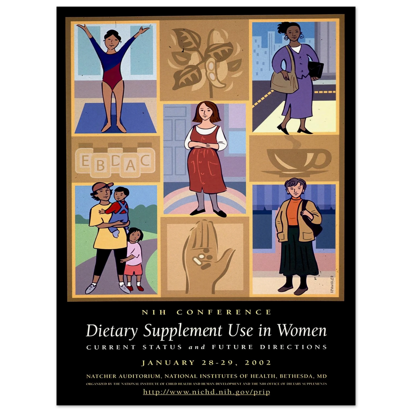 Dietary supplement use in women; current status and future directions (2002) Art Print | National Institutes of Health-Quipham Collections