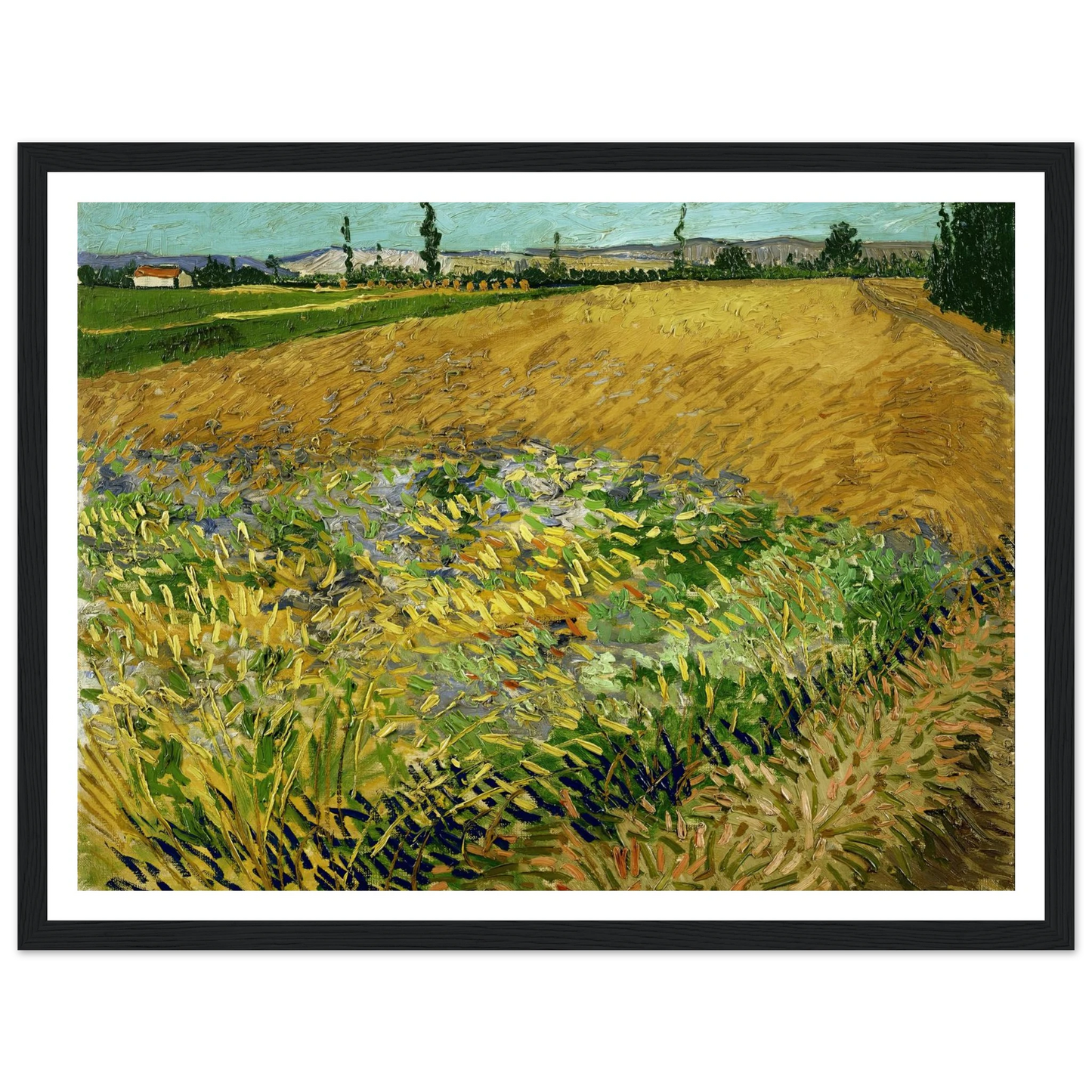 Wheatfield (1888) Art Print | Vincent van Gogh-Quipham Collections