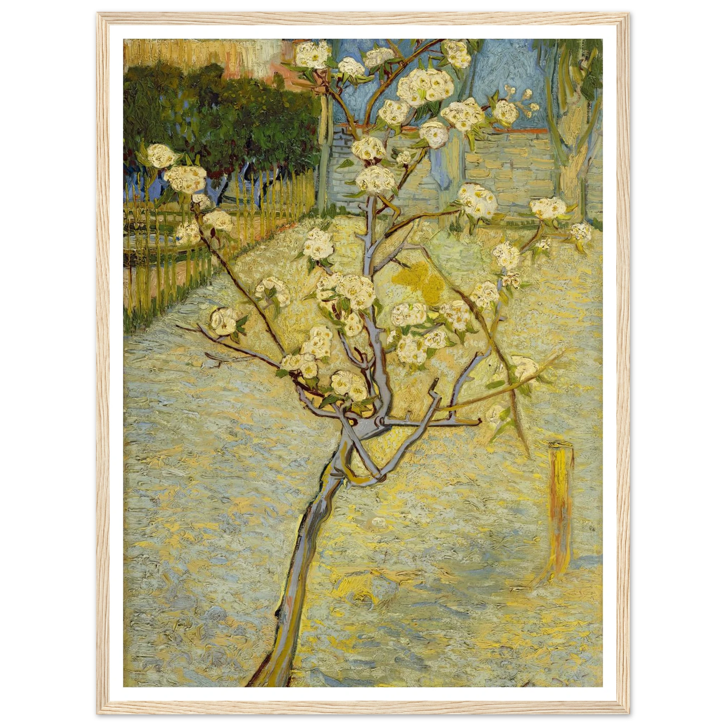 Small pear tree in blossom (1888) Art Print | Vincent van Gogh-Quipham Collections