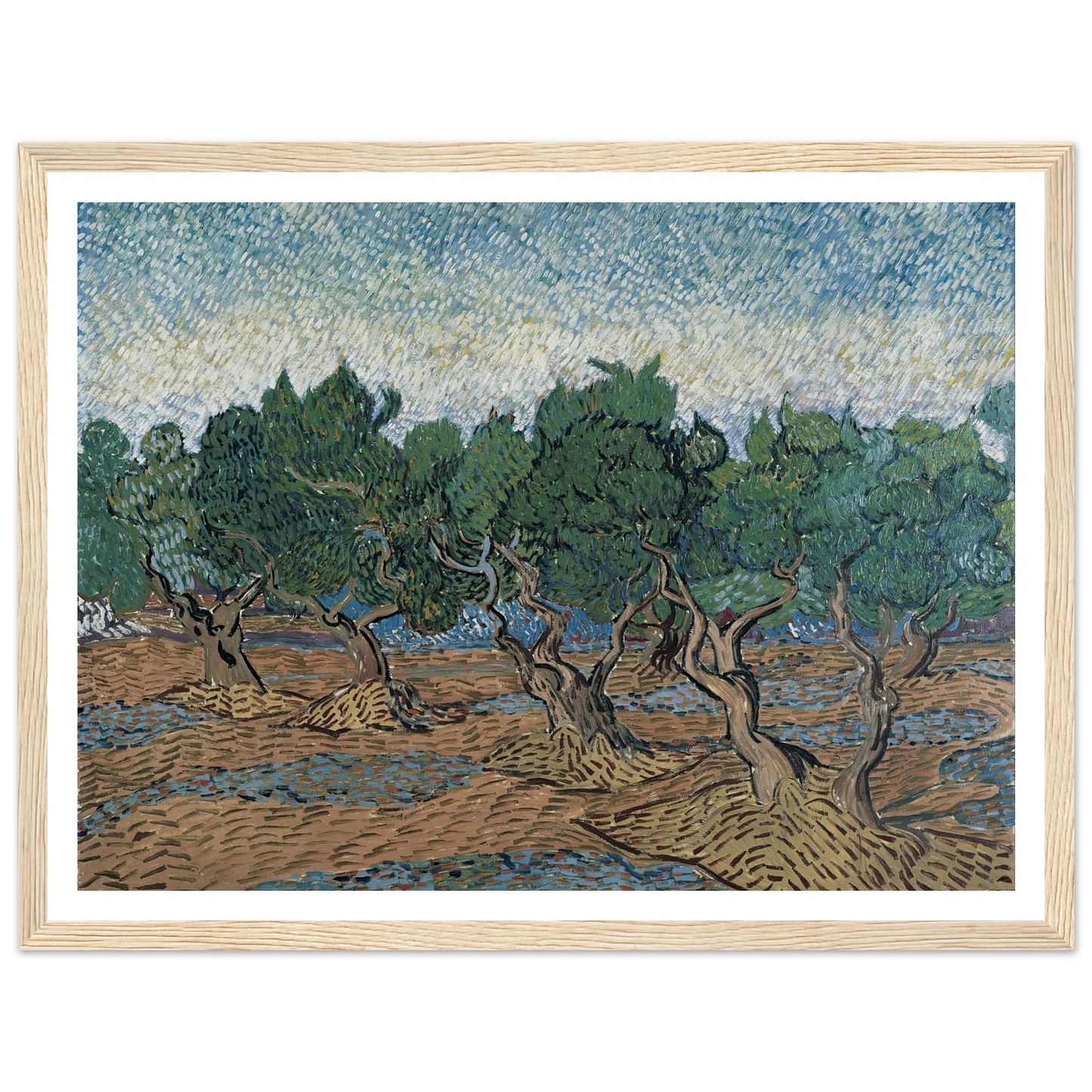 Olive grove Art Print | Vincent van Gogh-Quipham Collections