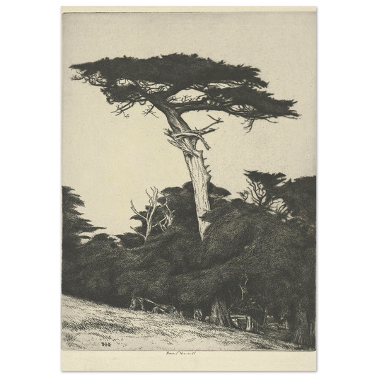 Dryad’s Parasol (1916-1922) Art Print | Ernest Haskell-Quipham Collections