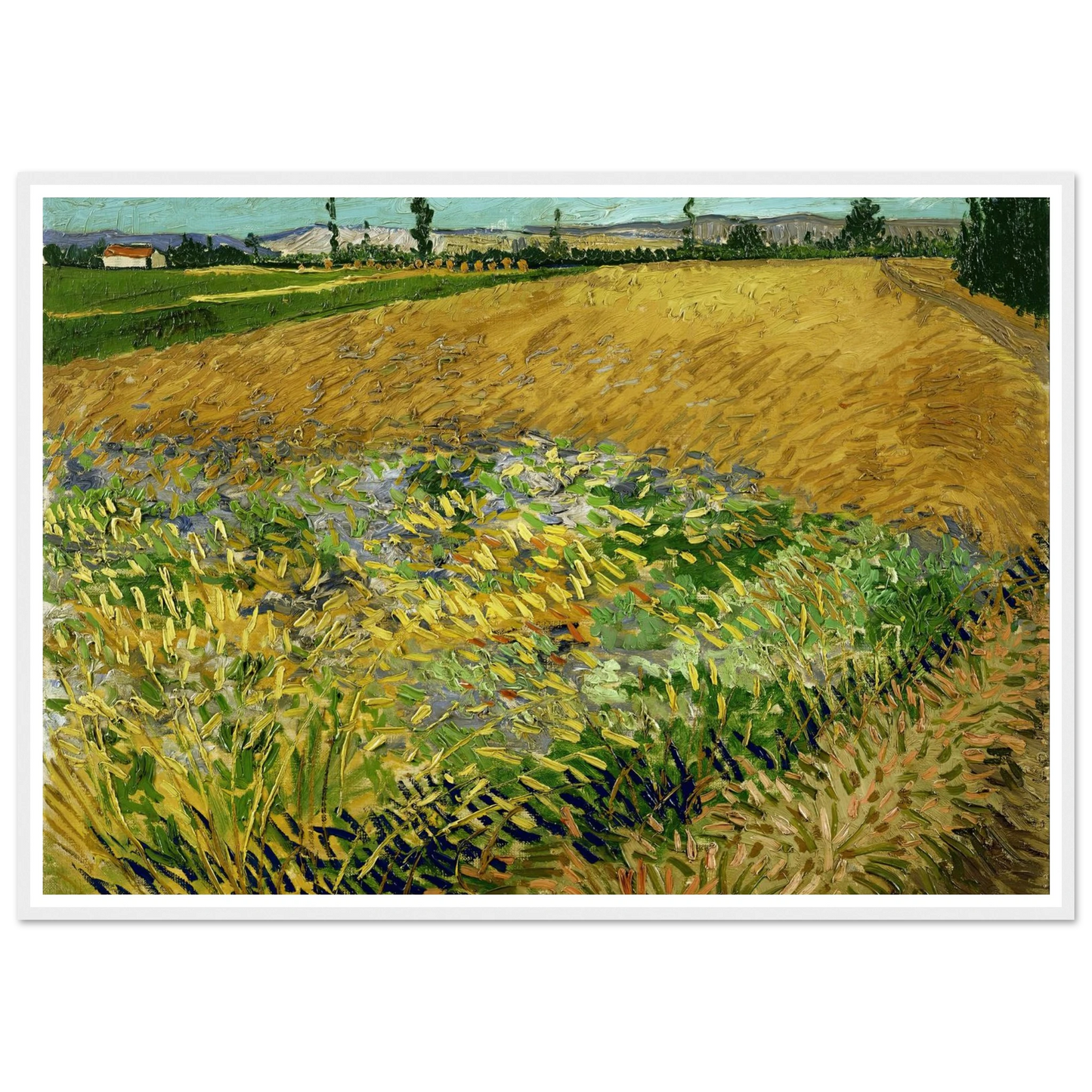 Wheatfield (1888) Art Print | Vincent van Gogh-Quipham Collections