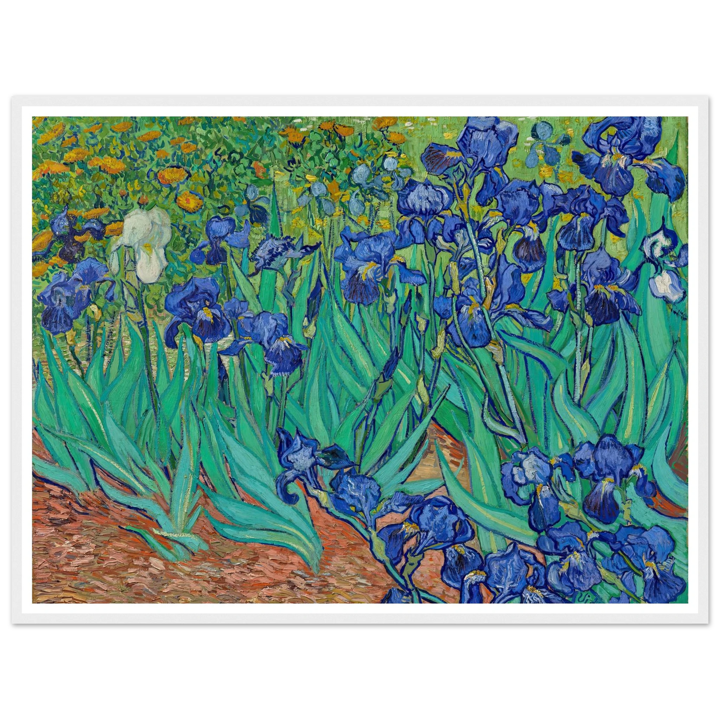 Irises (1889) Art Print | Vincent van Gogh-Quipham Collections
