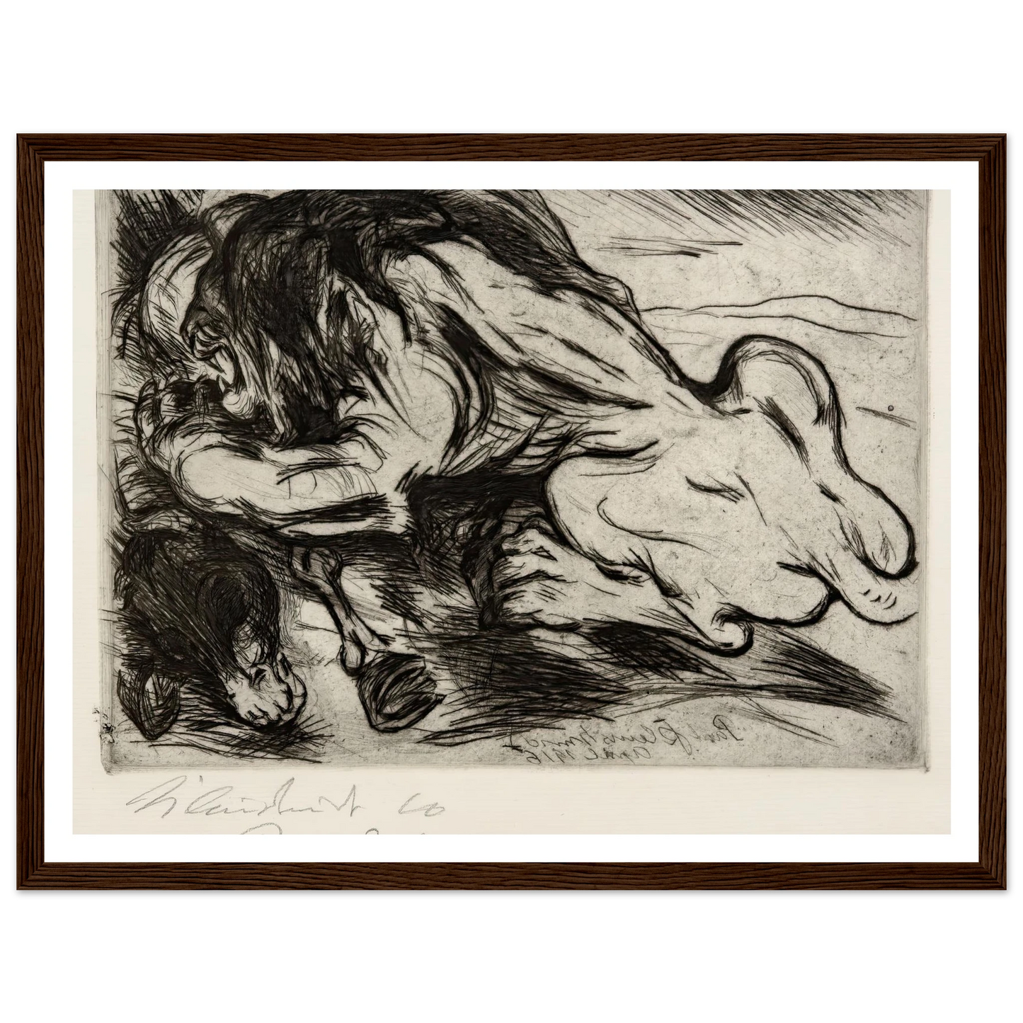Ein Löwe reißt ein Zebu (1916) Art Print | Paul Kleinschmidt-Quipham Collections