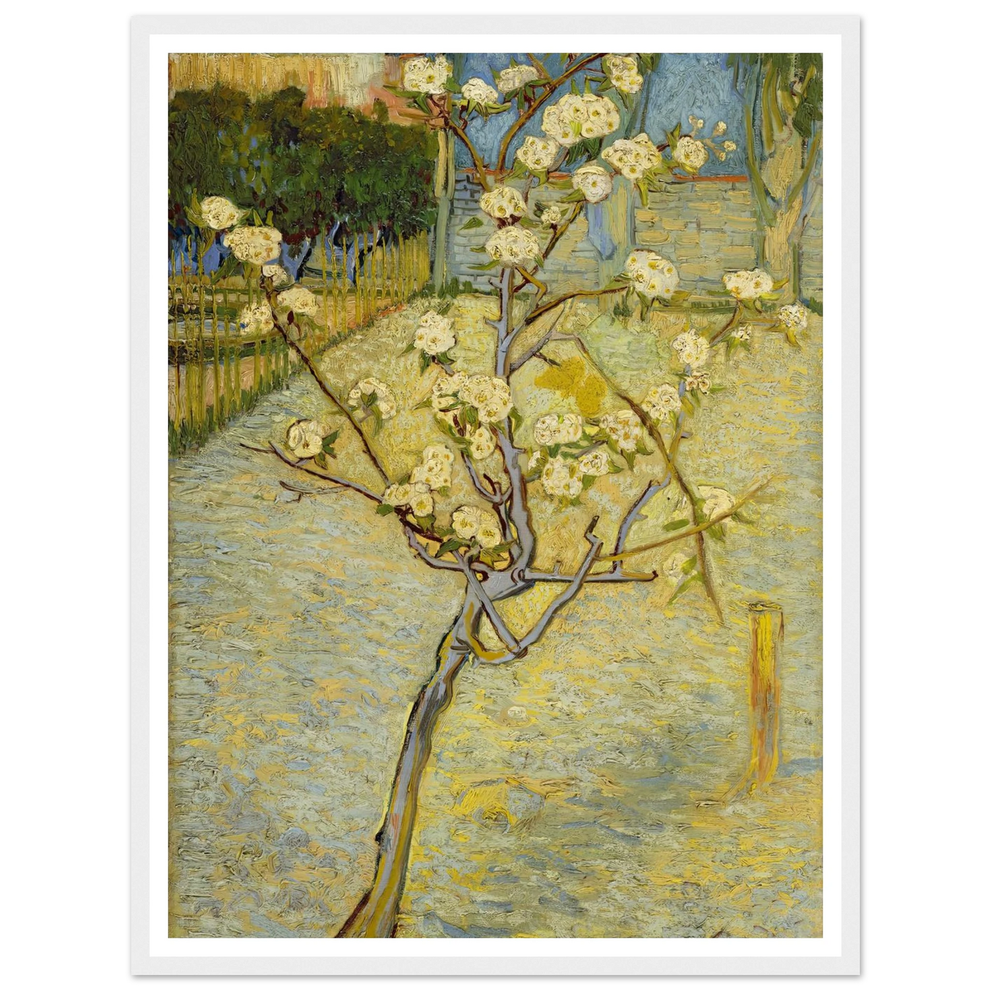 Small pear tree in blossom (1888) Art Print | Vincent van Gogh-Quipham Collections
