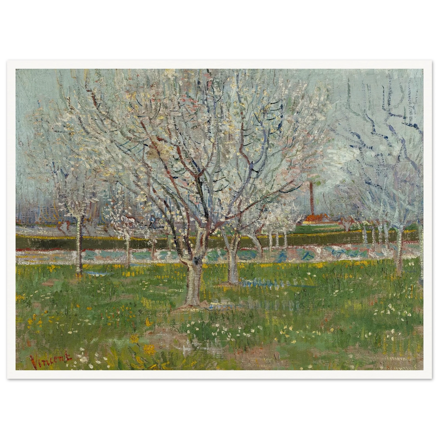Orchard in Blossom (Plum Trees) Art Print | Vincent van Gogh-Quipham Collections