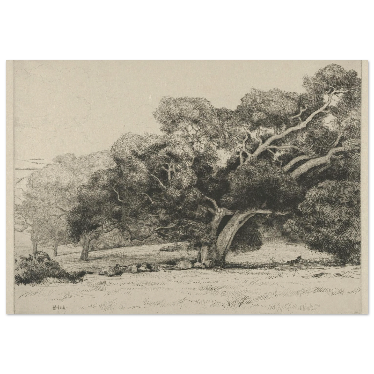 Large Live Oak (1915-1925) Art Print | Ernest Haskell-Quipham Collections