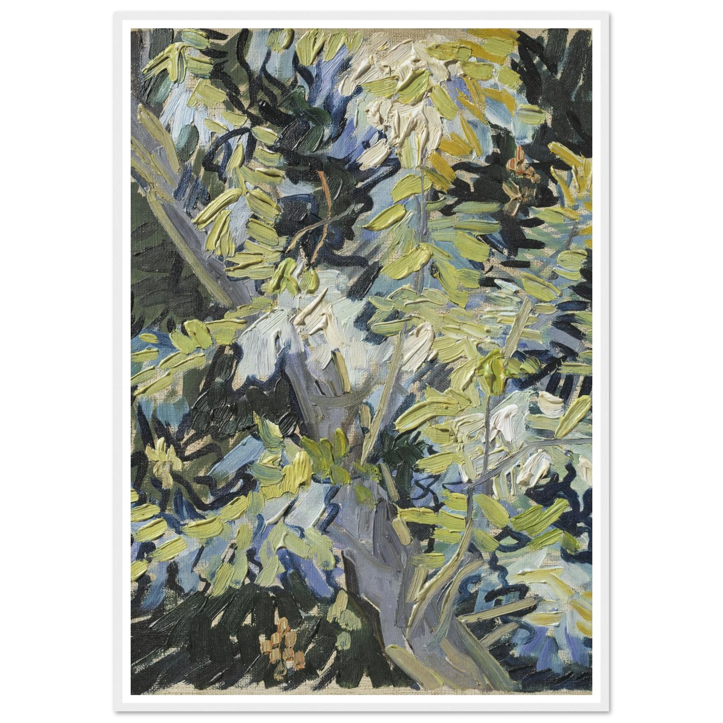 Acacia in Flowers Art Print | Vincent van Gogh-Quipham Collections