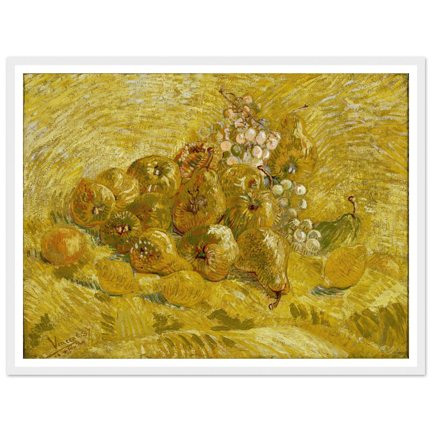 Quinces, lemons, pears and grapes (from 1887 until 1888) Art Print | Vincent van Gogh-Quipham Collections
