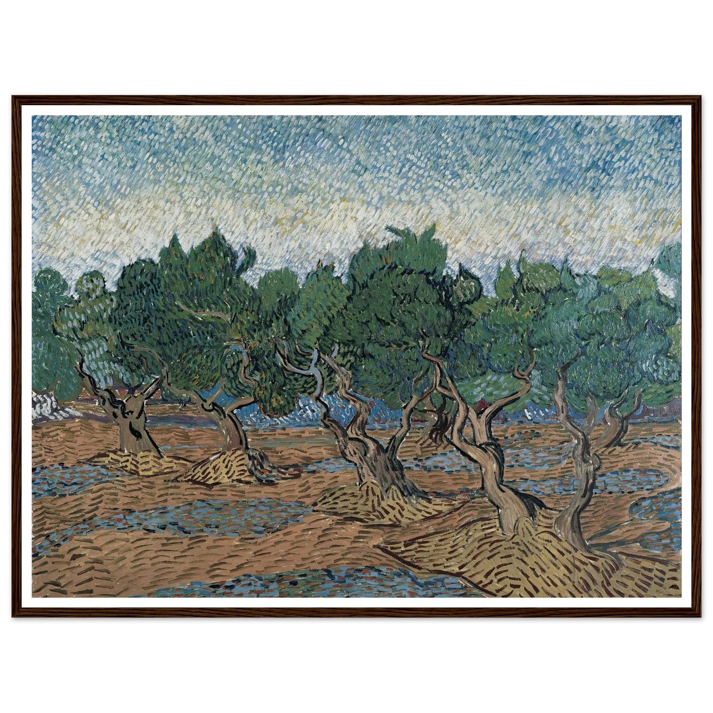 Olive grove Art Print | Vincent van Gogh-Quipham Collections