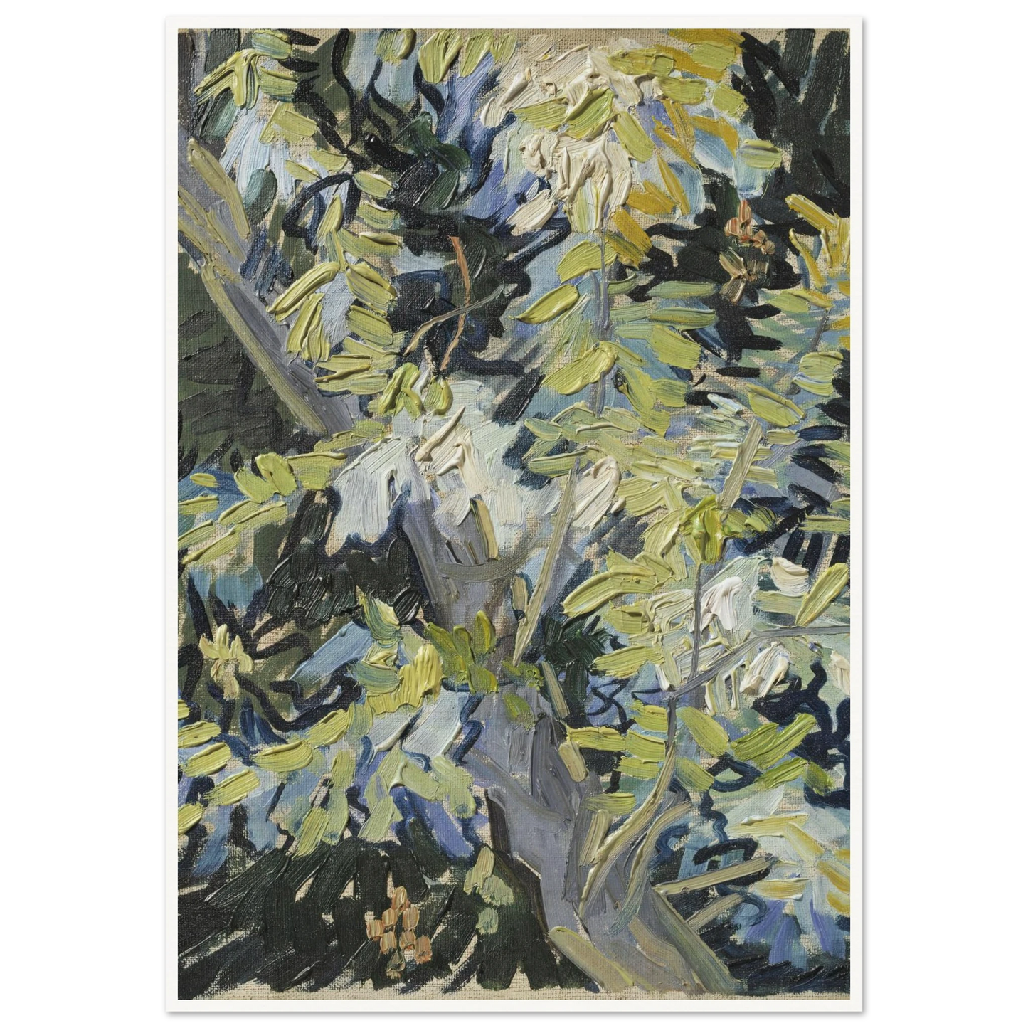 Acacia in Flowers Art Print | Vincent van Gogh-Quipham Collections