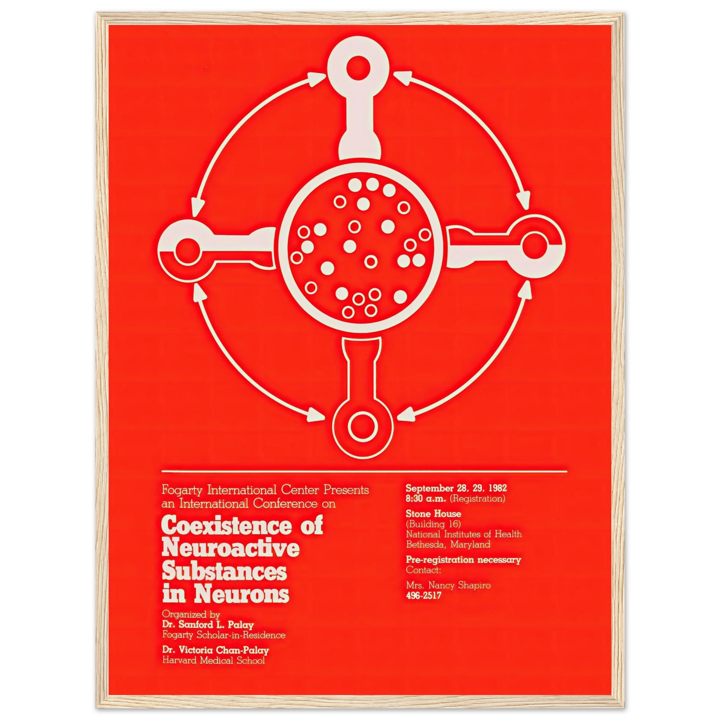 Coexistence of neuroactive substances in neurons (1982) Art Print | National Institutes of Health-Quipham Collections