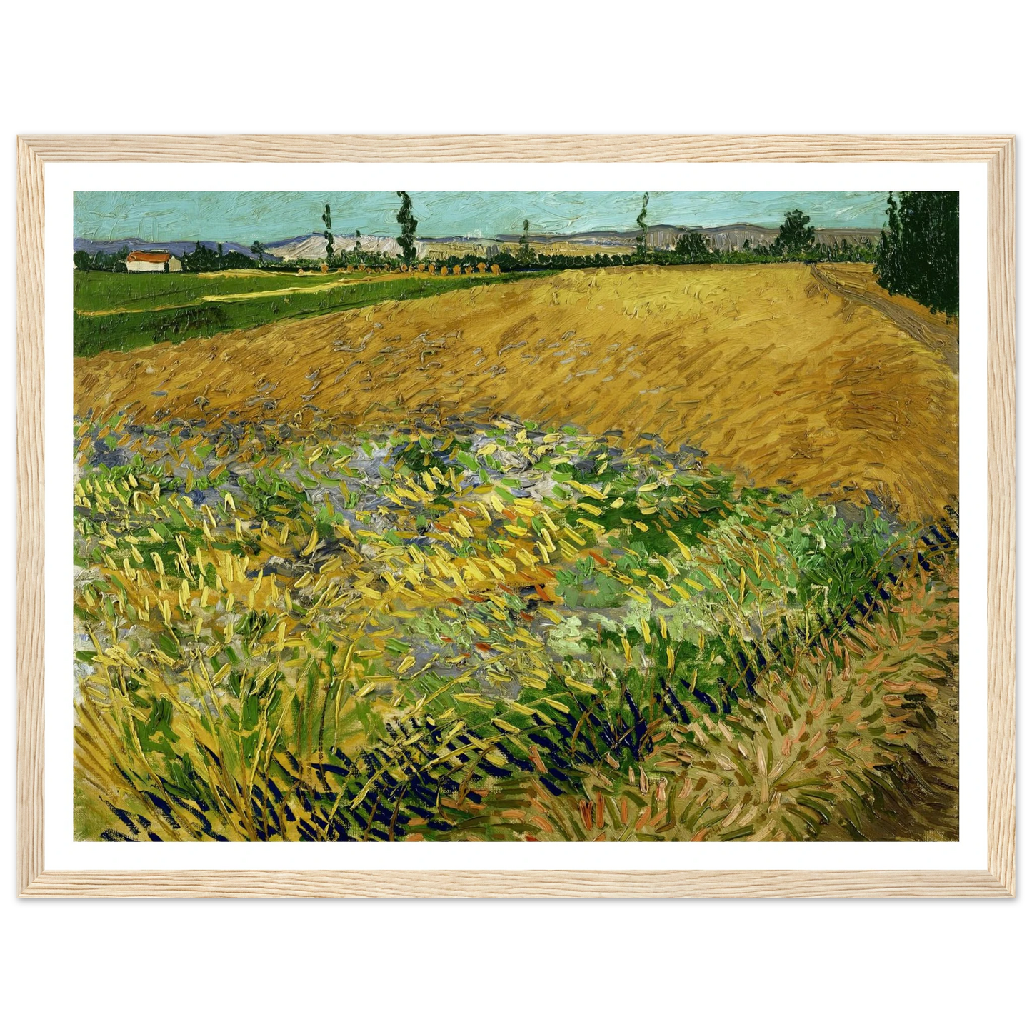 Wheatfield (1888) Art Print | Vincent van Gogh-Quipham Collections